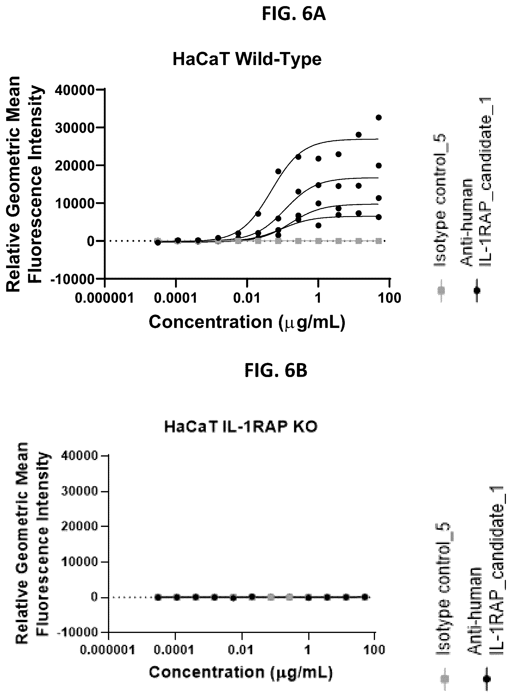 Patent US12492259 Figure 6 – Antibodies that bind to IL1RAP and uses thereof