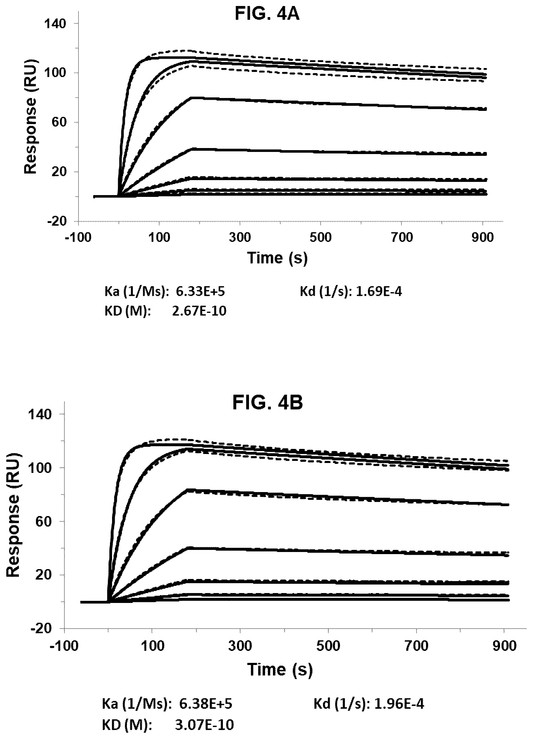 Patent US12492260 Figure 4 – Antibodies that bind to IL1RAP and uses thereof