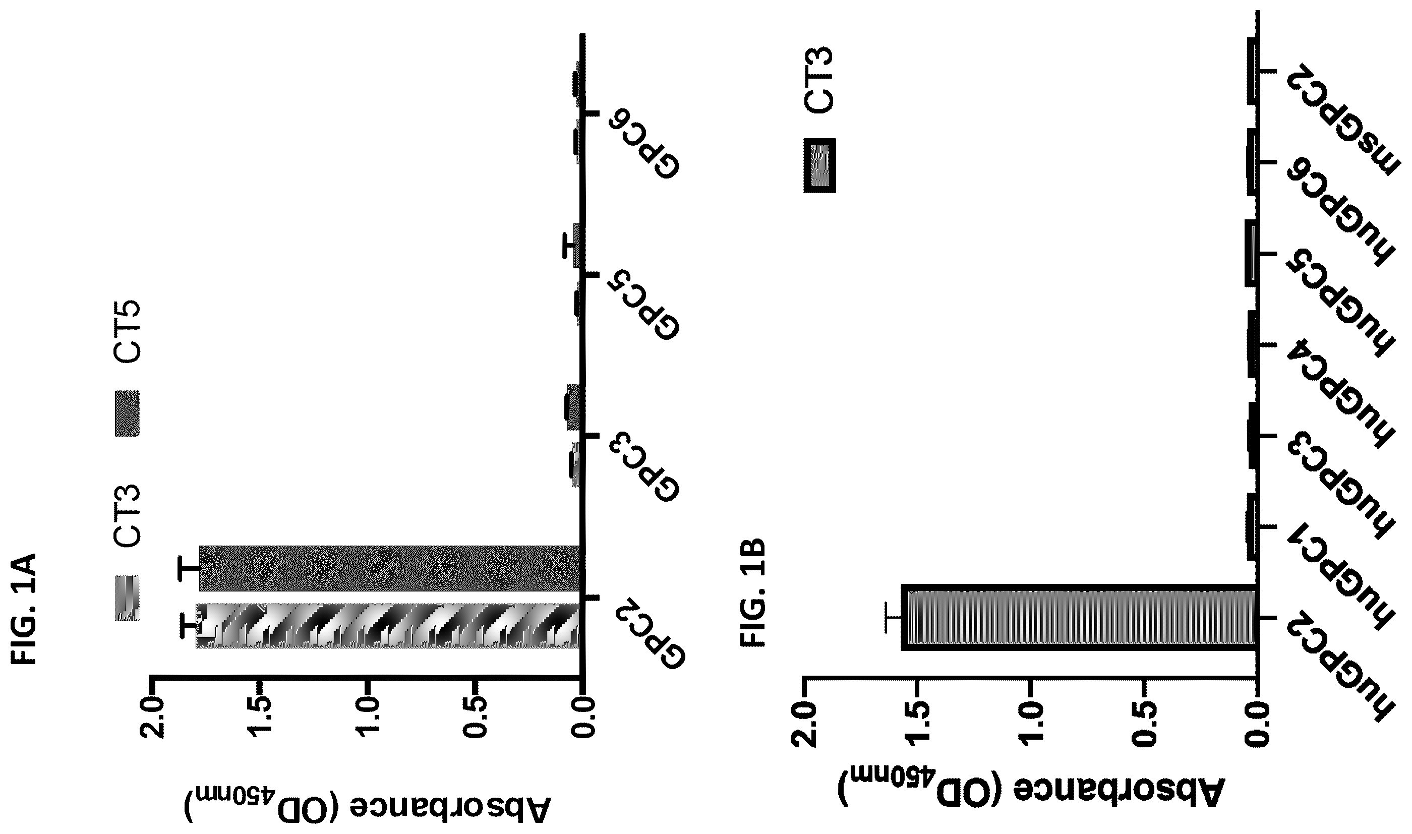 Patent US12492262 — High affinity monoclonal antibodies targeting glypican-2 and uses thereof — Figure 1