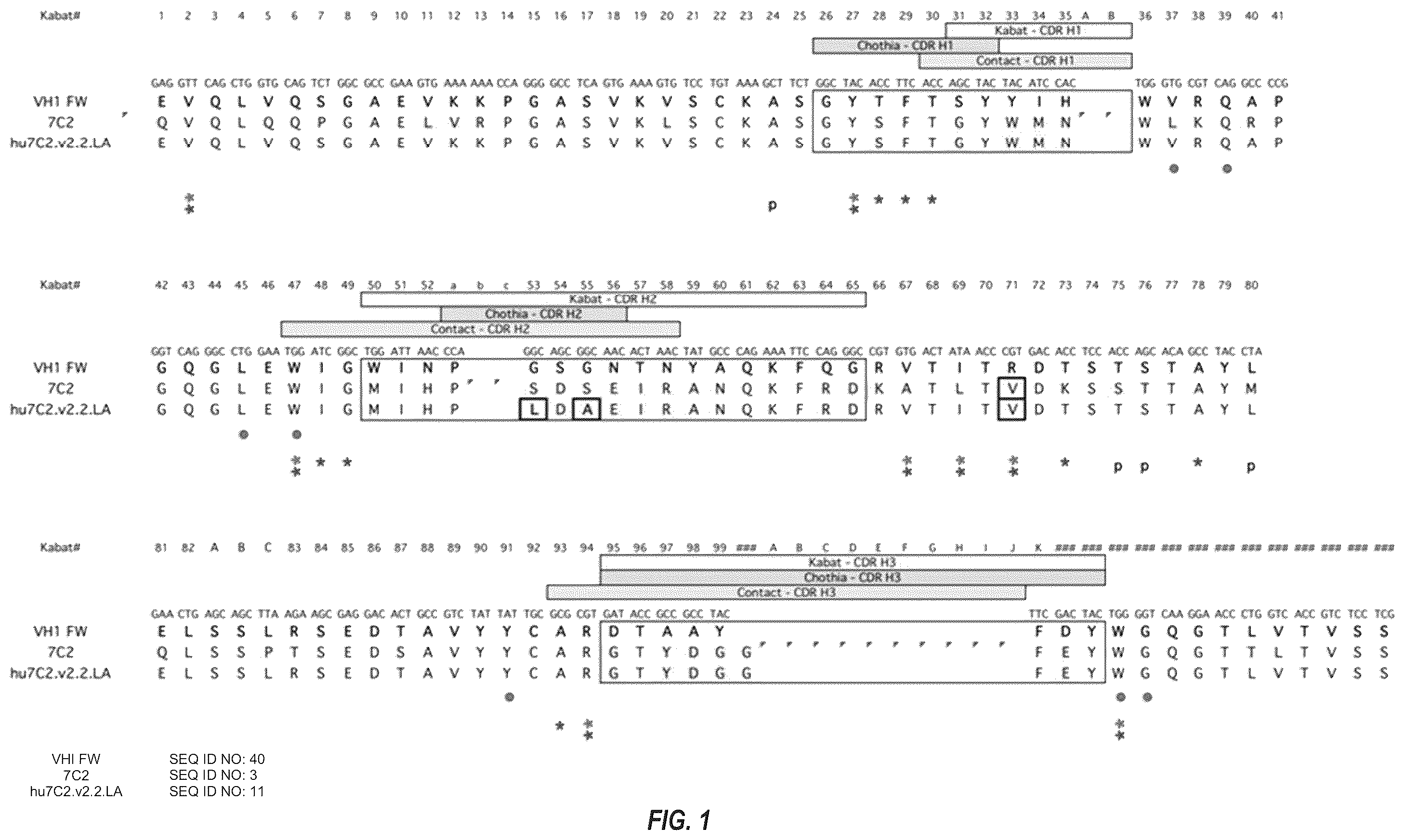 Patent US12492263 — Anti-HER2 antibodies and immunoconjugates — Figure 1