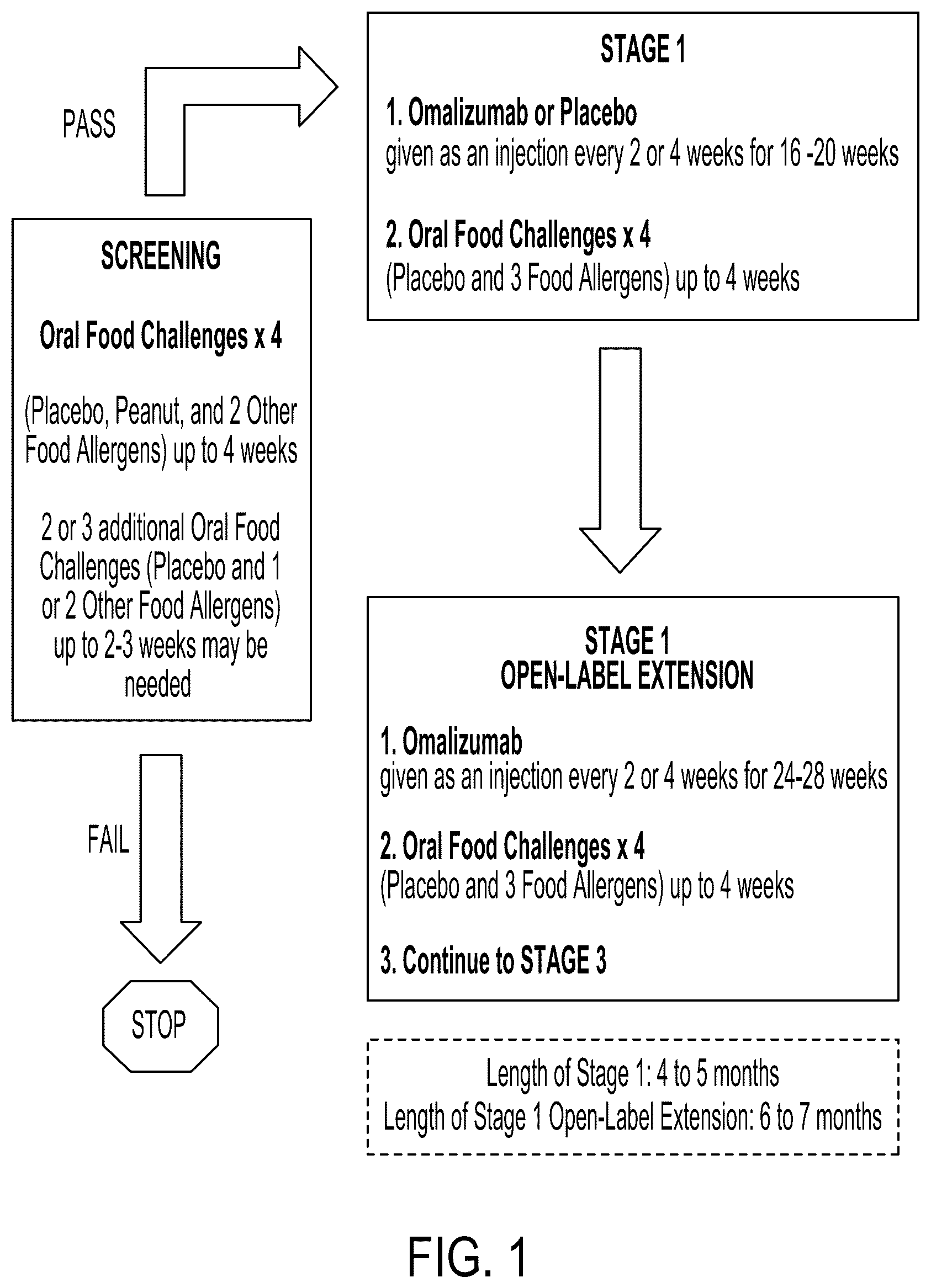 Patent US12492265 — Anti-IgE antibody therapy for multiple food allergies — Figure 1