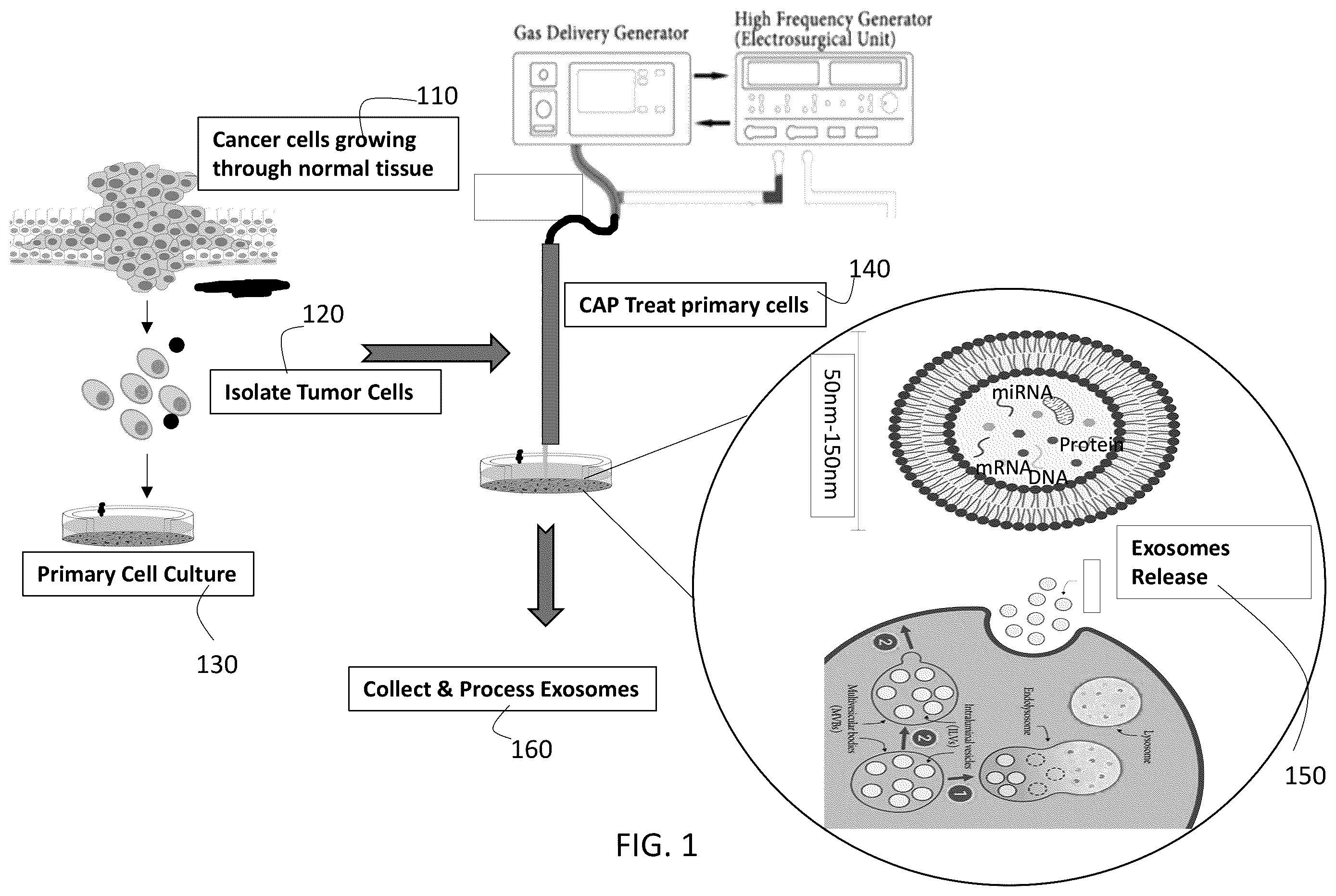 Patent US12492381 Figure 1 – Method for cold atmospheric plasma exosome therapy