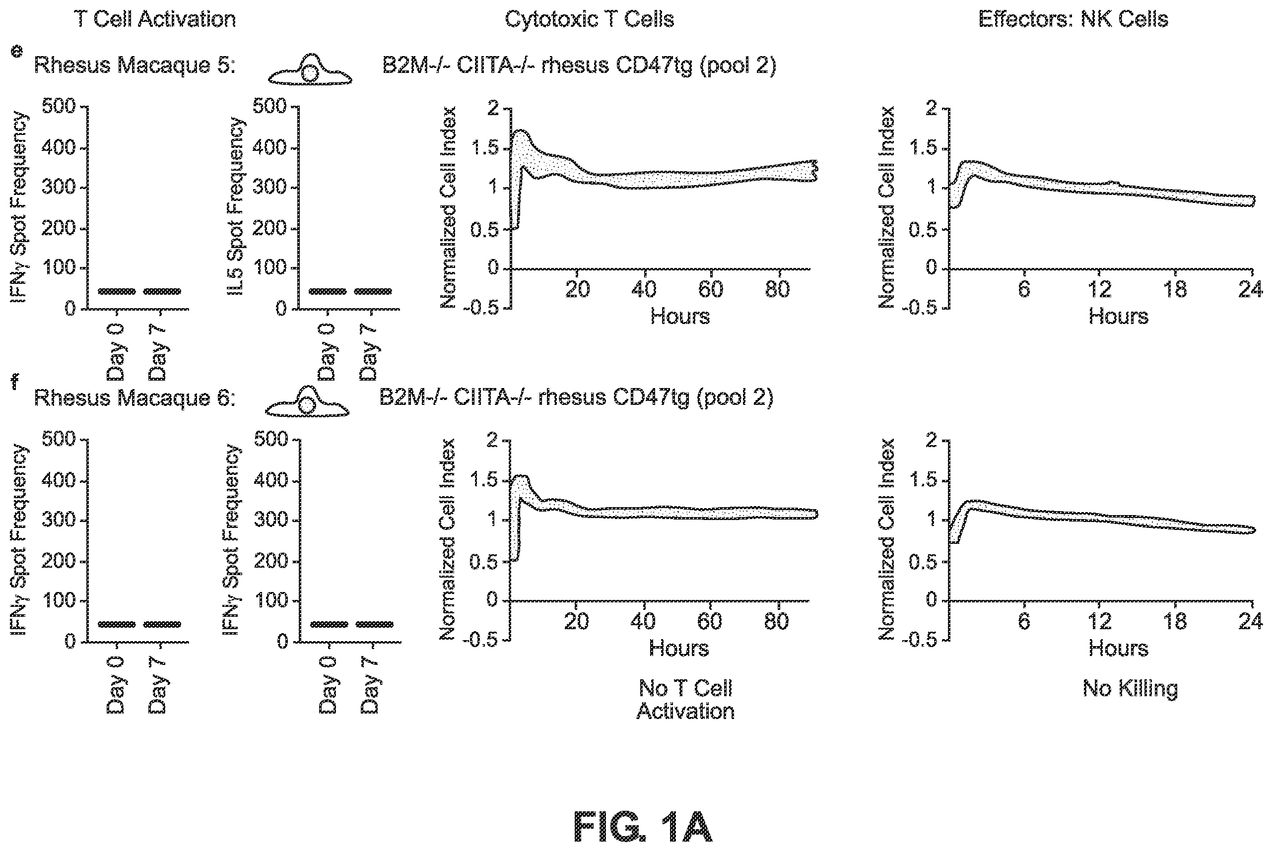 Patent US12492382 — Blood type O Rh—hypo-immunogenic cells — Figure 1