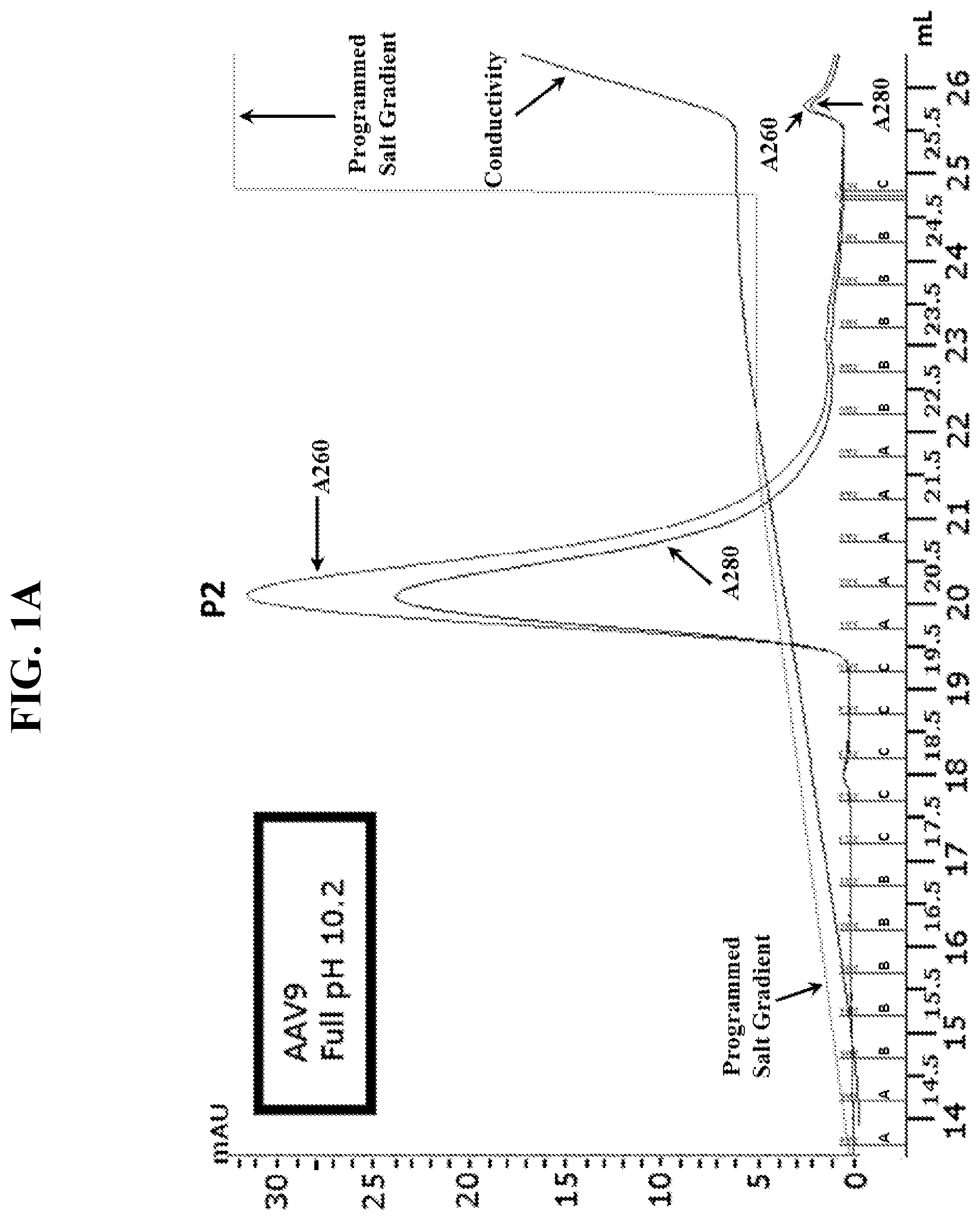 Patent US12492385 — Scalable purification method for AAV9 — Figure 1