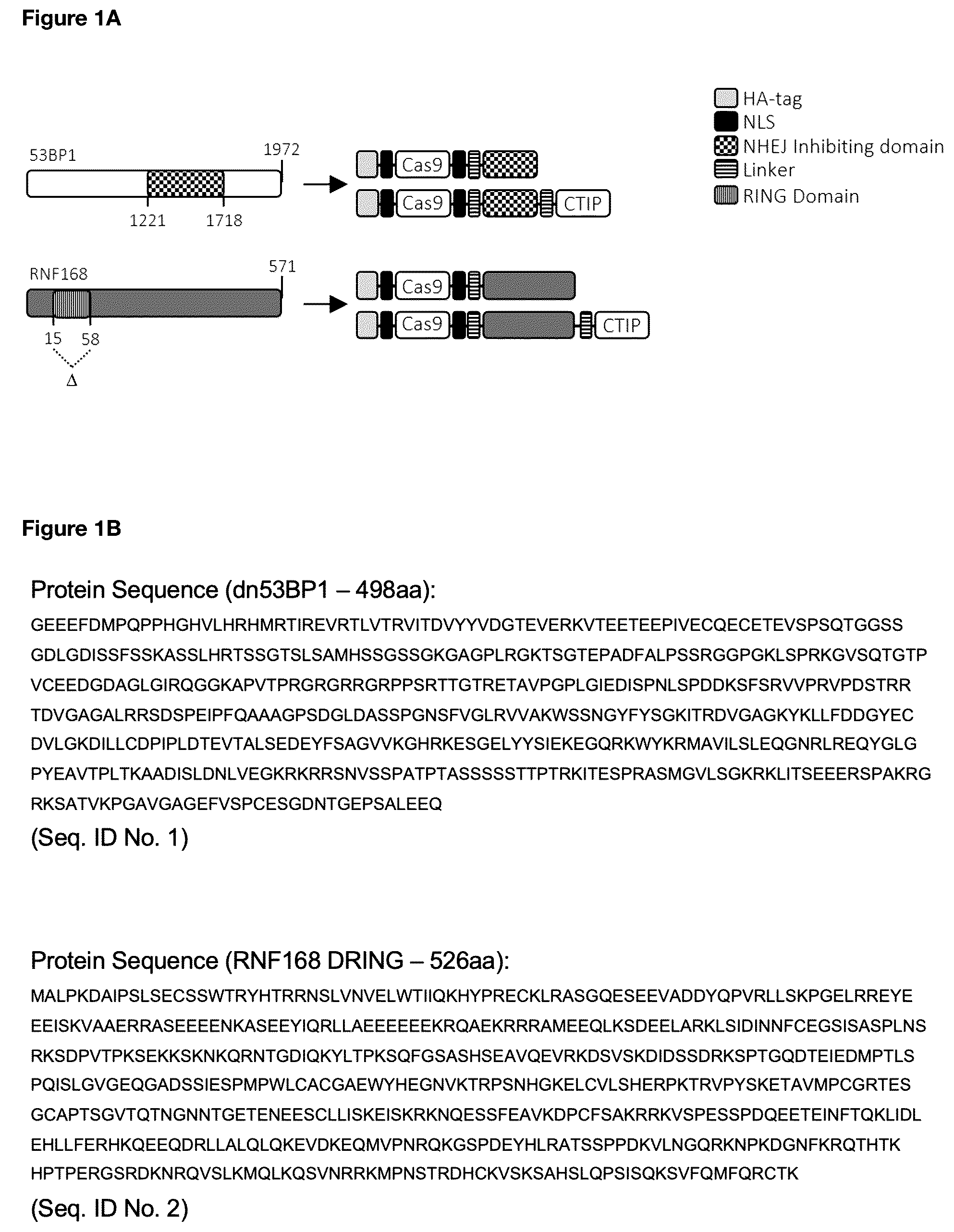 Patent US12492389 — Modified Cas9 system having a dominant negative effector on non-homologous end-joining fused thereto and its use for improved gene editing — Figure 1