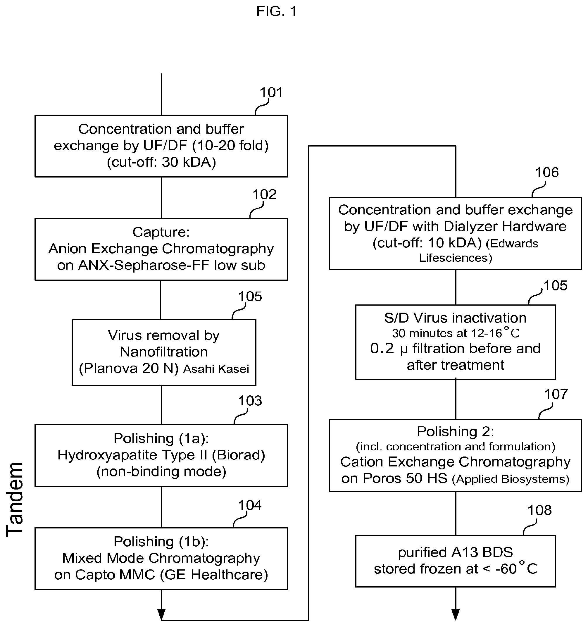 Patent US12492390 — Methods of purifying recombinant ADAMTS13 and other proteins and compositions thereof — Figure 1