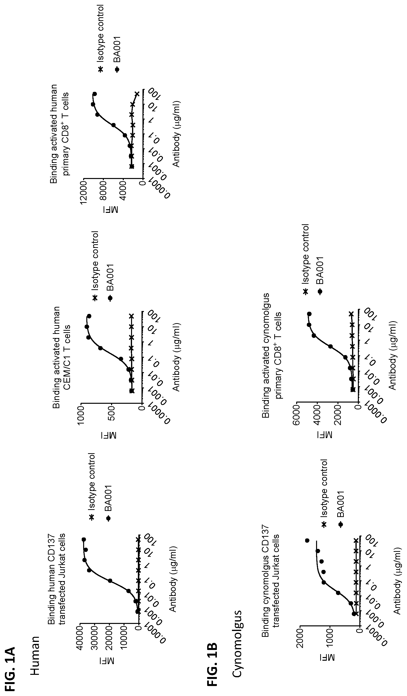 Patent US12492393 — Anti-CD137 antibodies and methods of use thereof — Figure 1