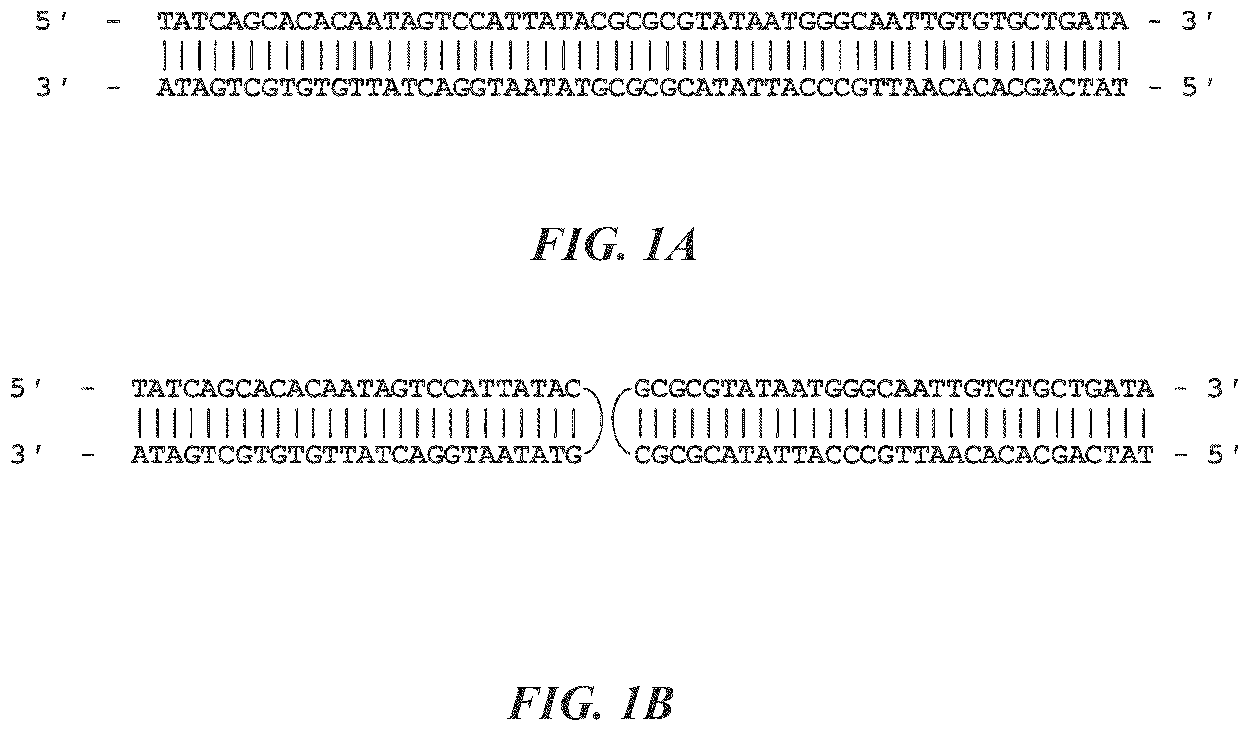 Patent US12492396 Figure 1 – Methods for generating circular nucleic acid molecules