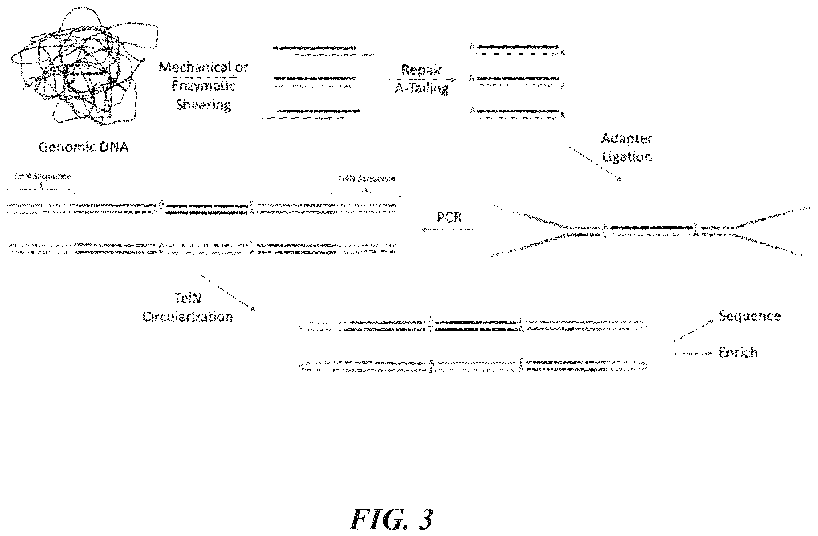 Patent US12492396 Figure 3 – Methods for generating circular nucleic acid molecules