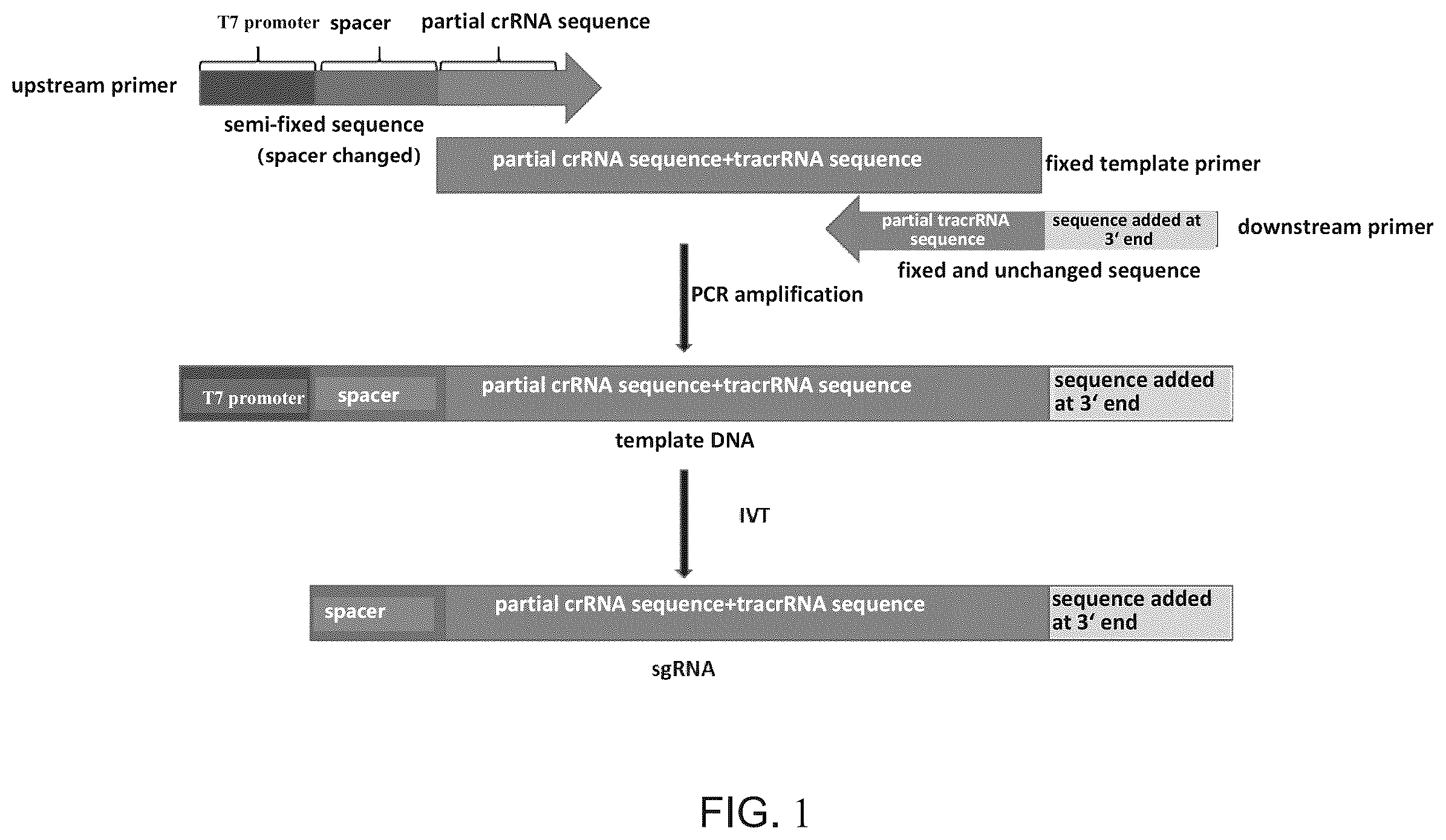 Patent US12492397 — Engineered sgRNA design and preparation method — Figure 1