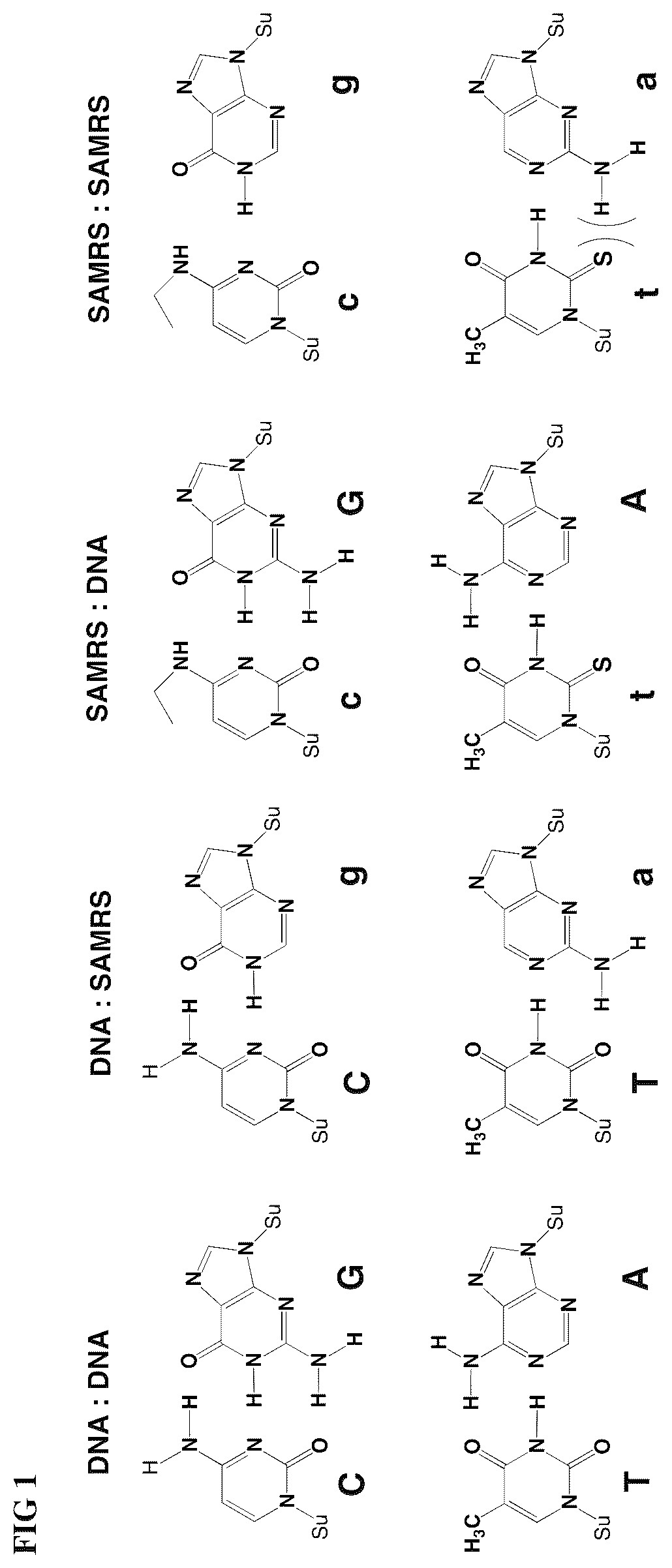 Patent US12492398 — Compositions for the multiplexed detection of viruses — Figure 1