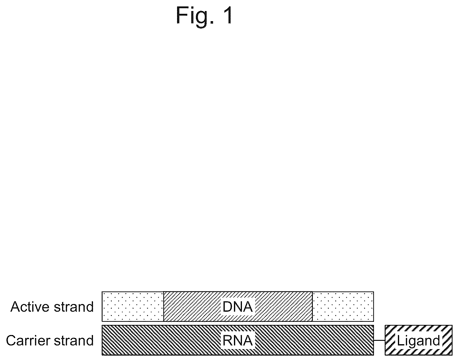 Patent US12492399 — Nucleic acid complex for regulating IHH expression — Figure 1