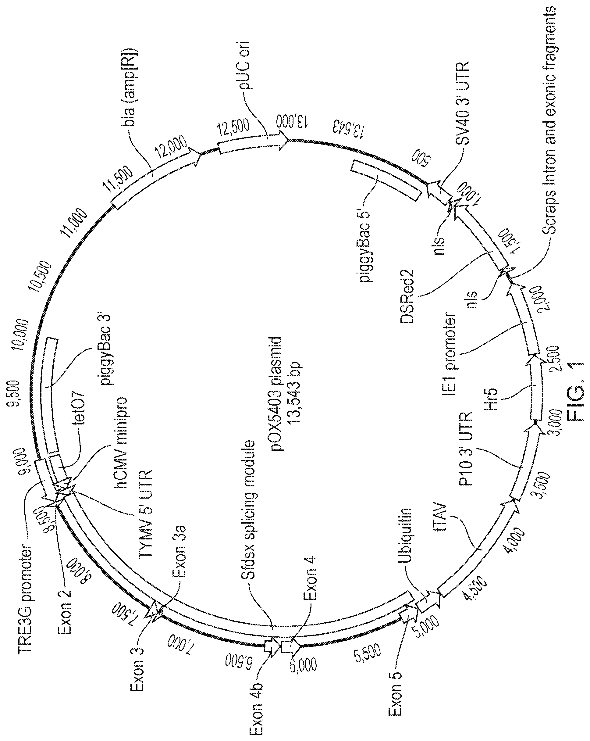 Patent US12492404 — Self-limiting noctuids — Figure 1