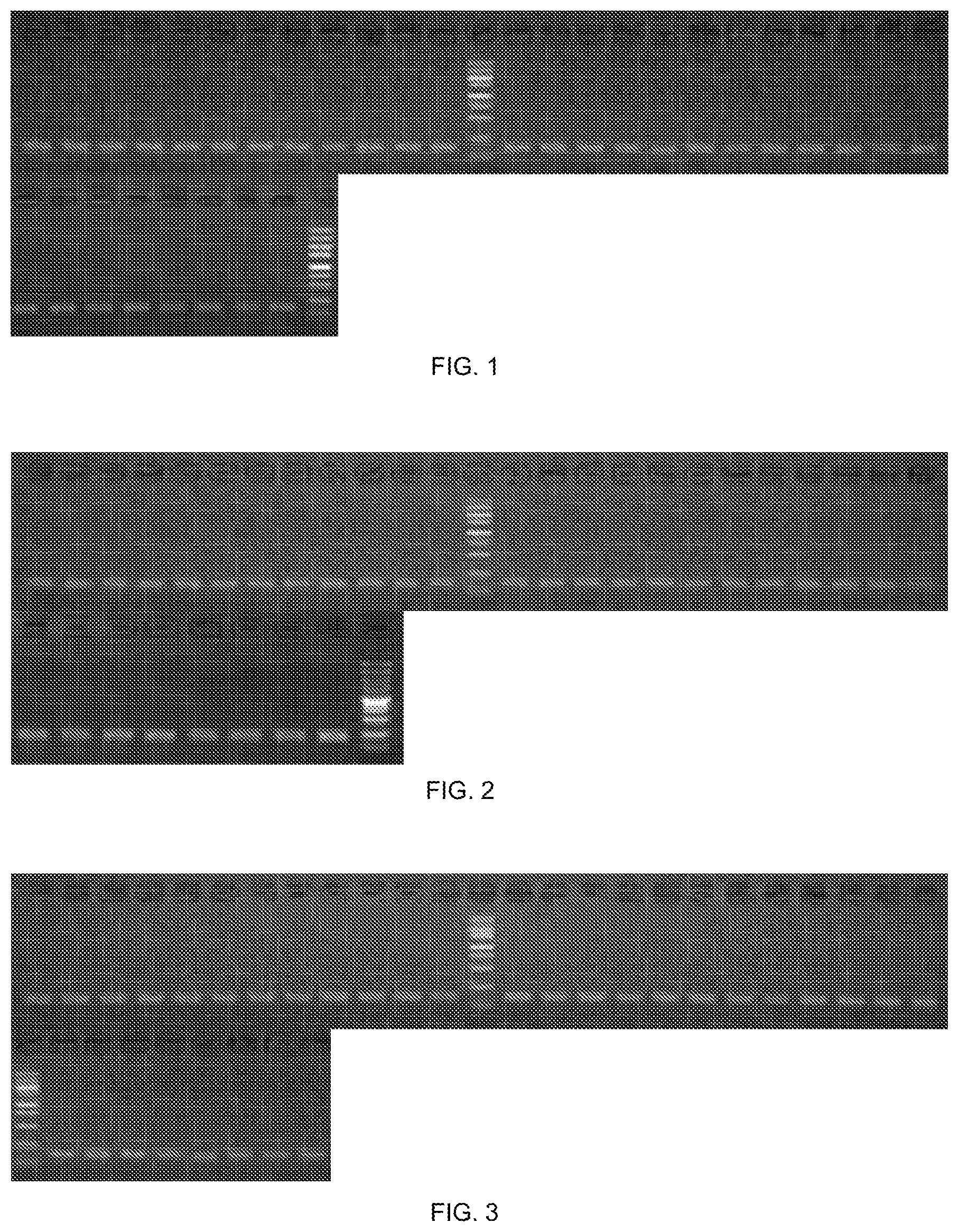 Patent US12492405 — Promoter and carrier composed of same and application thereof — Figure 1