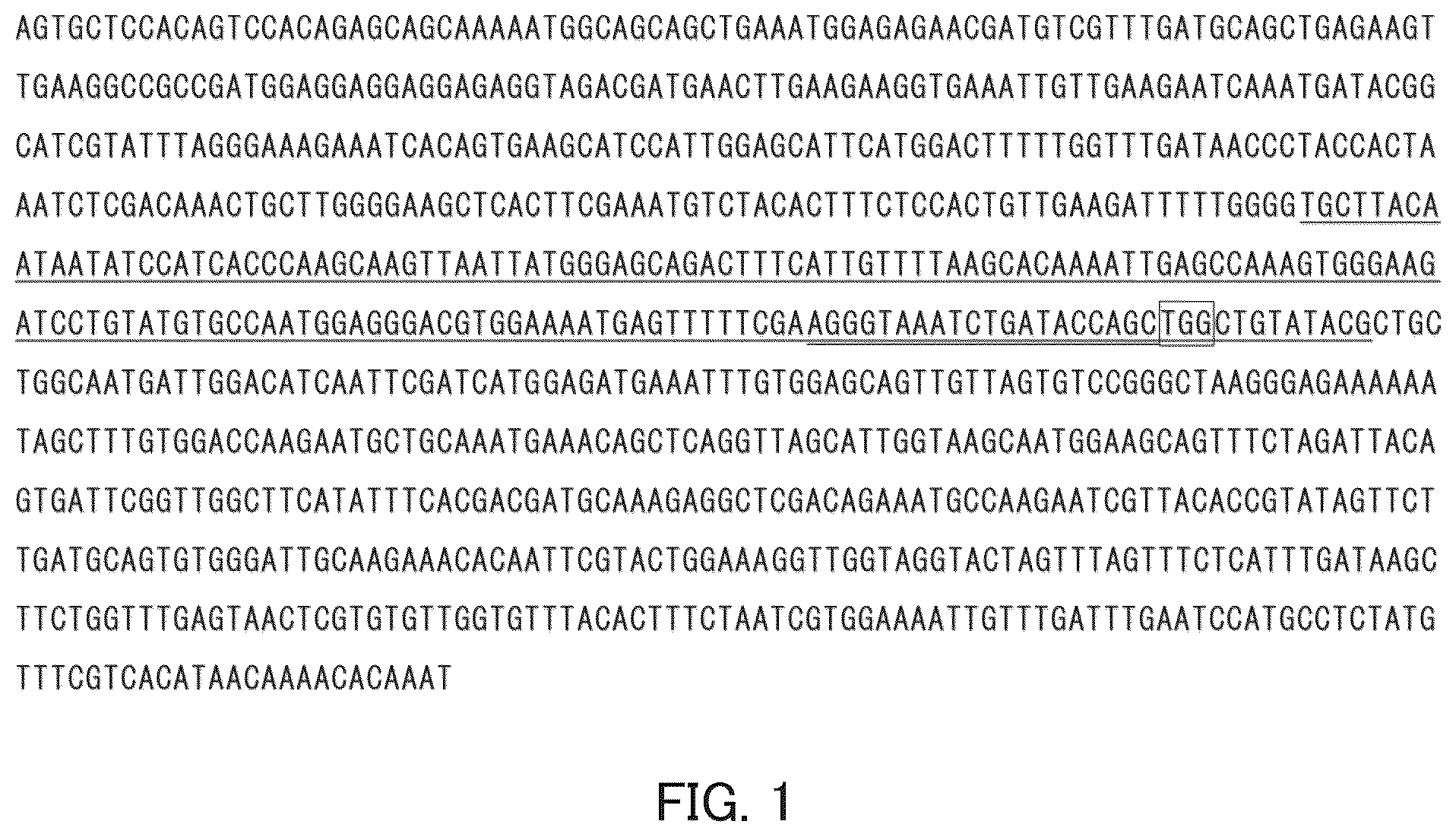 Patent US12492409 Figure 1 – Solanaceous plant resistant to virus of genus Begomovirus causing tomato yellow leaf curl symptoms, solanaceous plant cell, and method for producing solanaceous plant