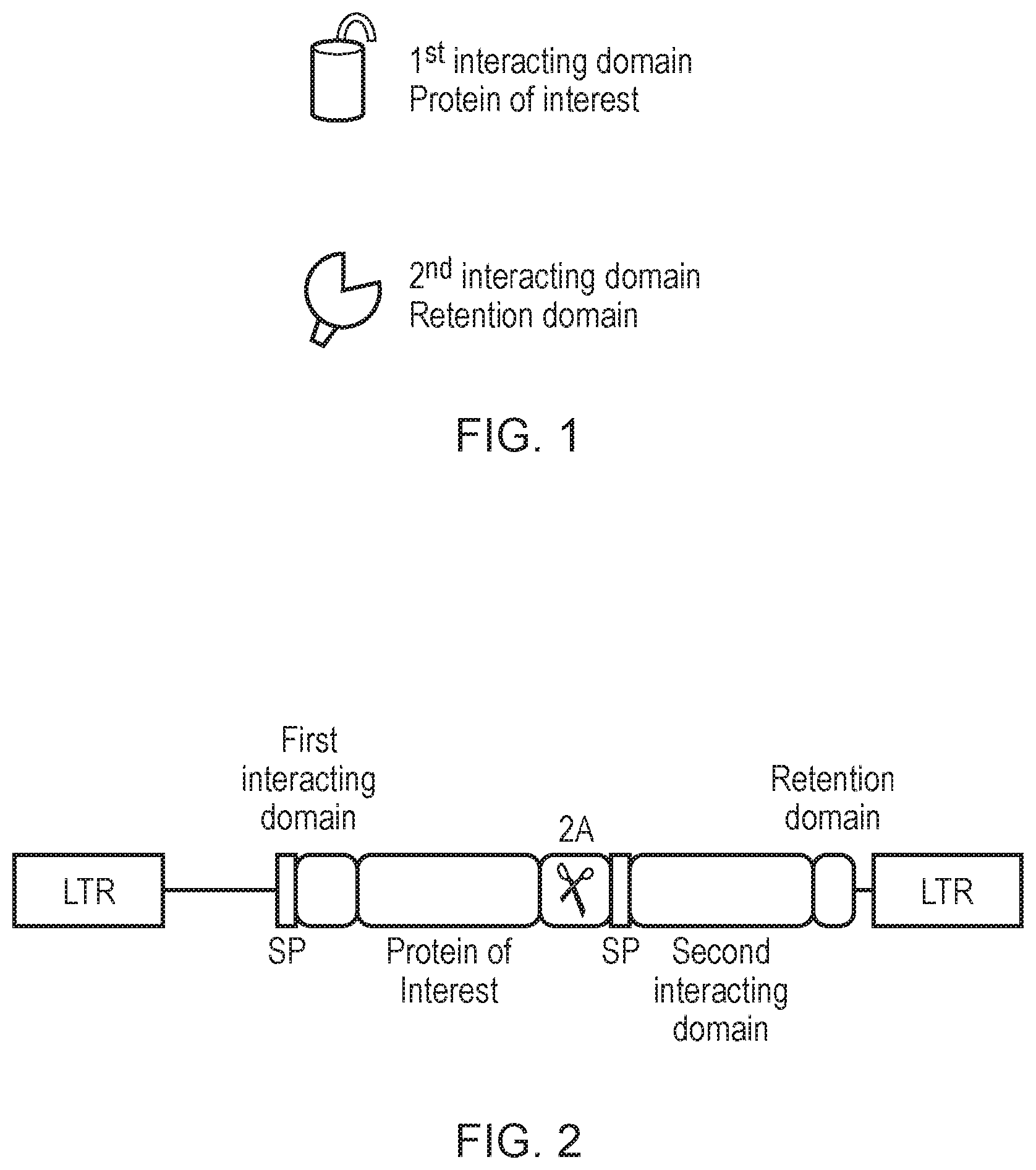 Patent US12492410 Figure 1 – Engineered cytolytic immunecell
