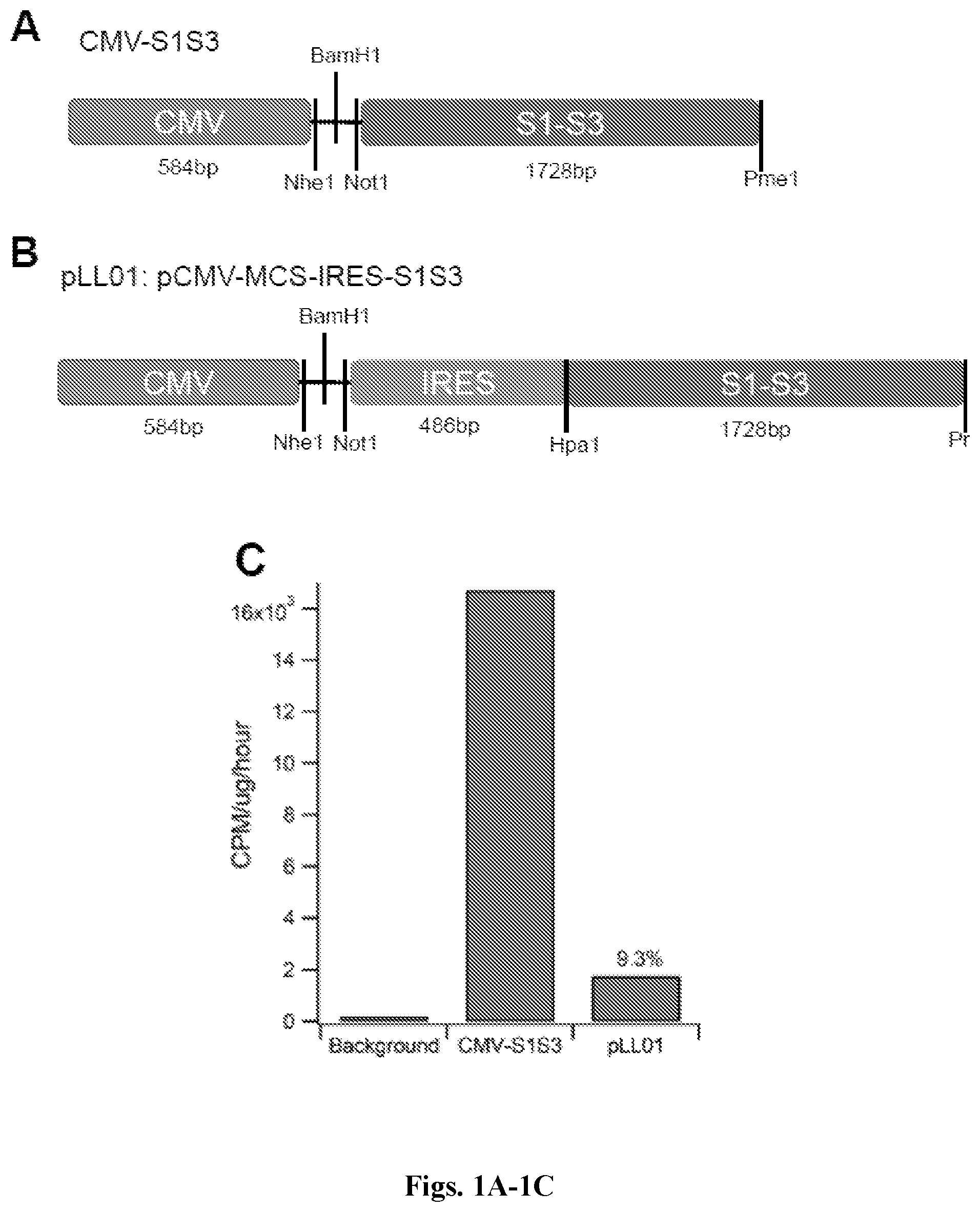 Patent US12492412 — Vector compositions and methods of using same for treatment of lysosomal storage disorders — Figure 1