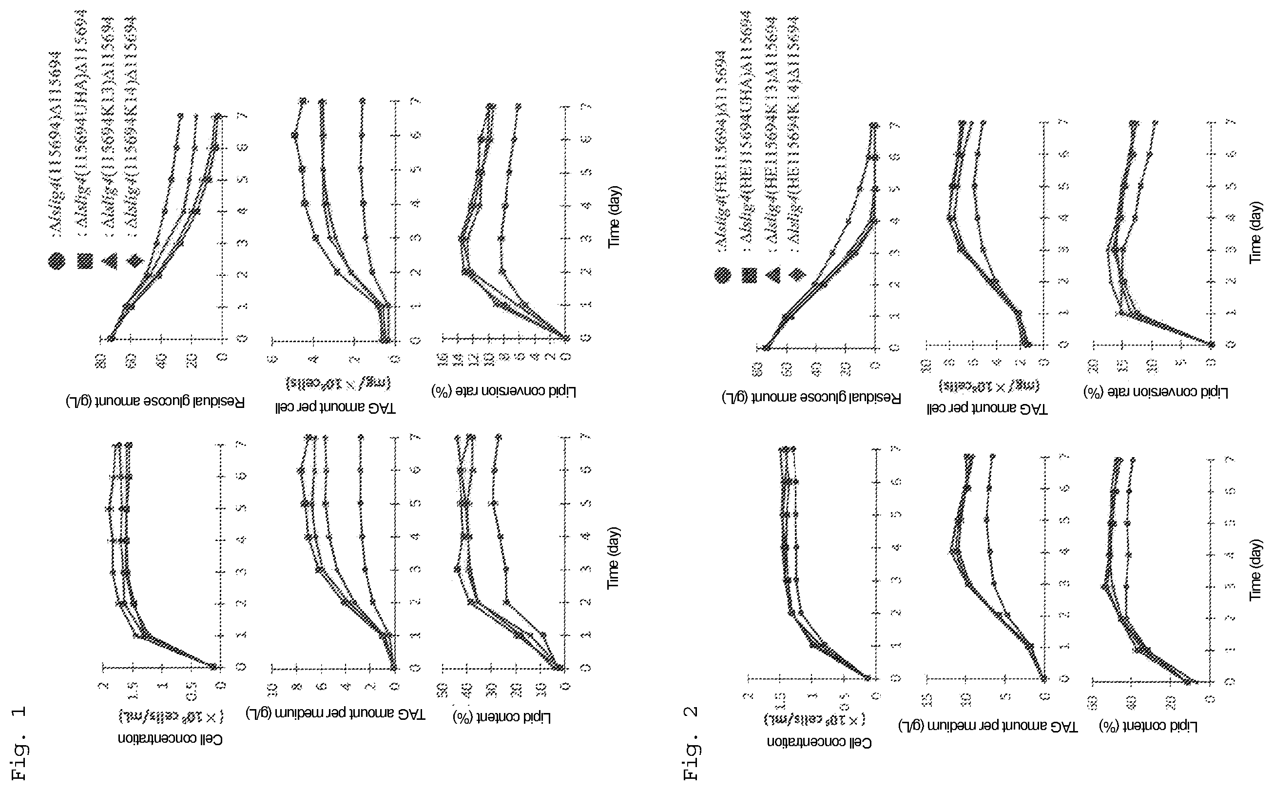 Patent US12492415 Figure 1 – Lipid production control factor for oleaginous yeast