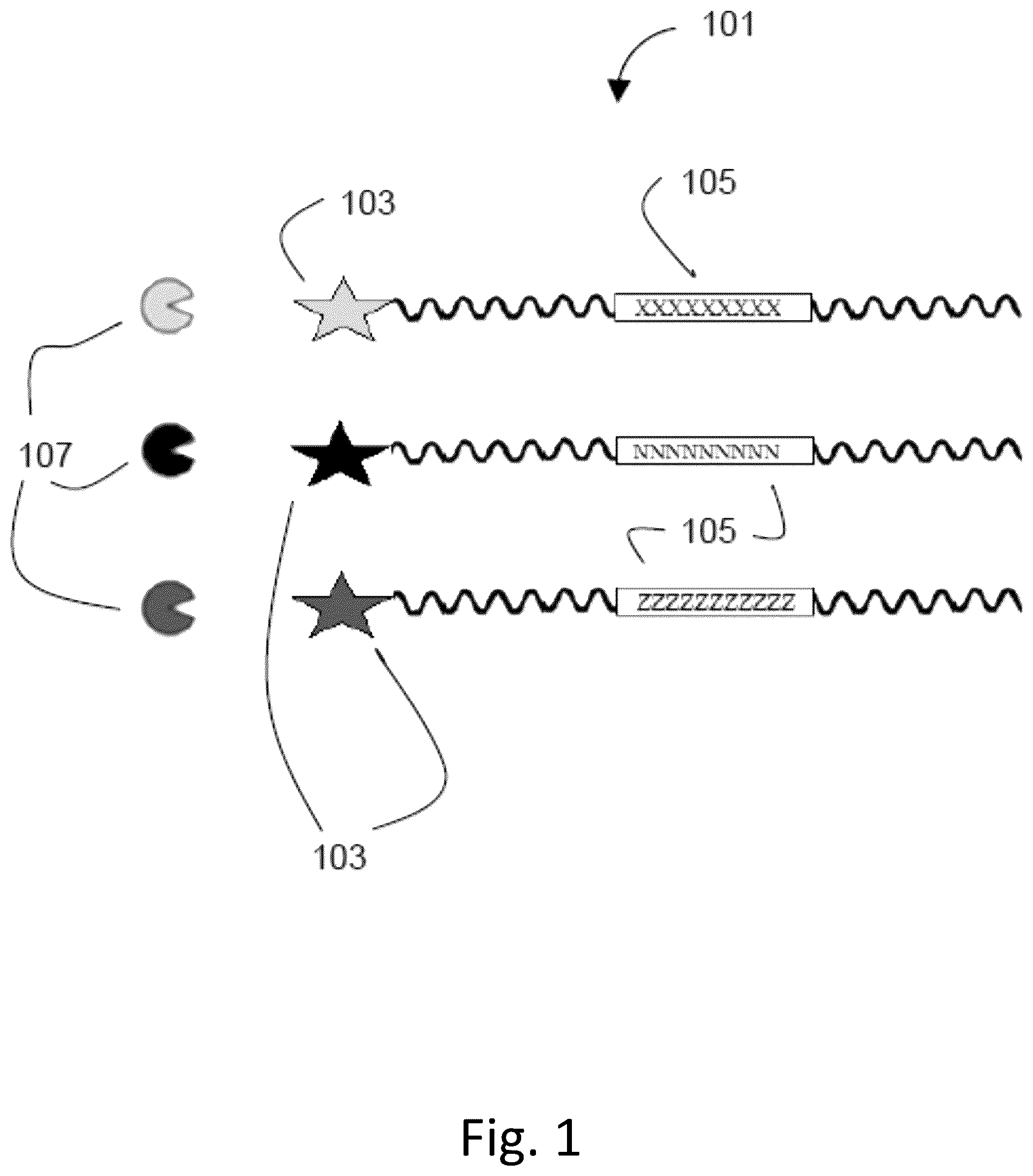 Patent US12492422 — Ex vivo protease activity detection for disease detection/diagnostic, staging, monitoring and treatment — Figure 1