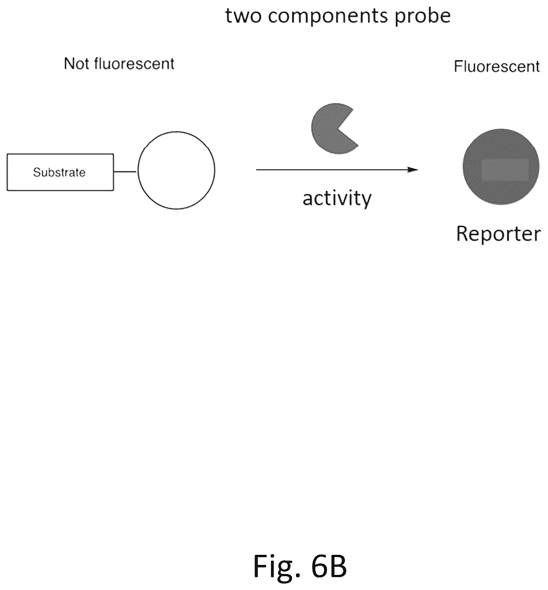 Patent US12492422 Figure 7 – Ex vivo protease activity detection for disease detection/diagnostic, staging, monitoring and treatment