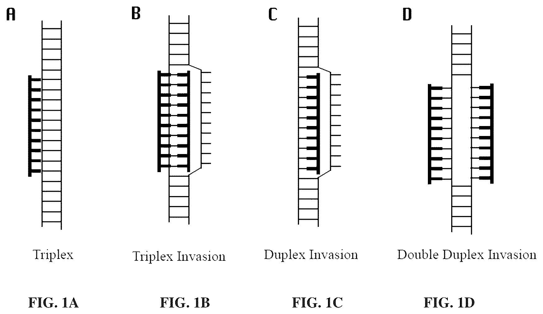 Patent US12492423 Figure 1 – Methods and compositions for genomic target enrichment and selective DNA sequencing