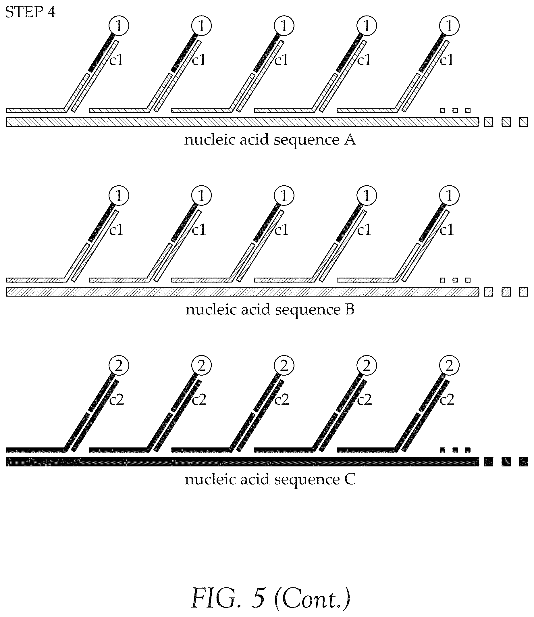 Patent US12492427 Figure 9 – Multiplex method for detecting different analytes in a sample