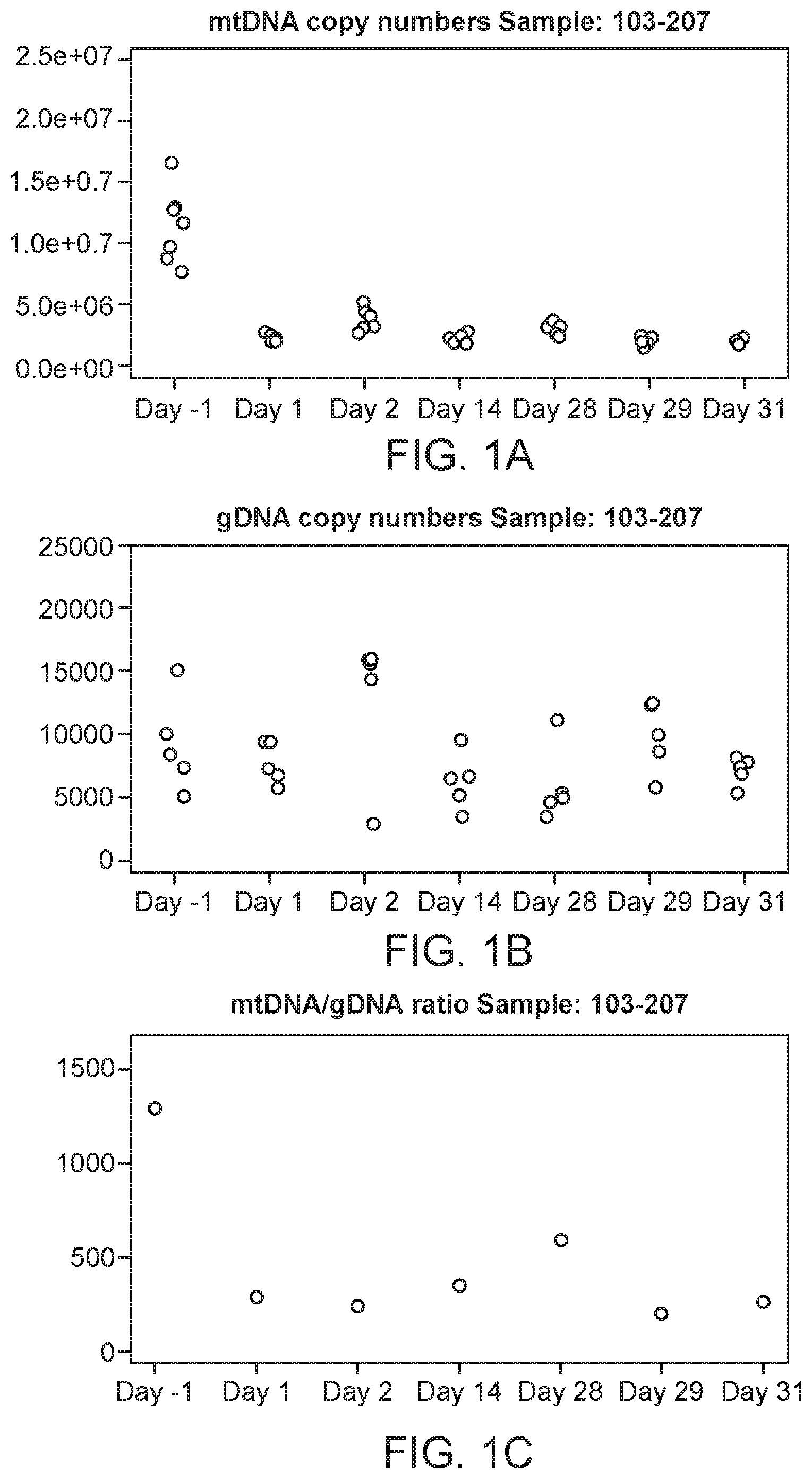 Patent US12492428 Figure 1 – Methods and compositions for the quantitation of mitochondrial nucleic acid