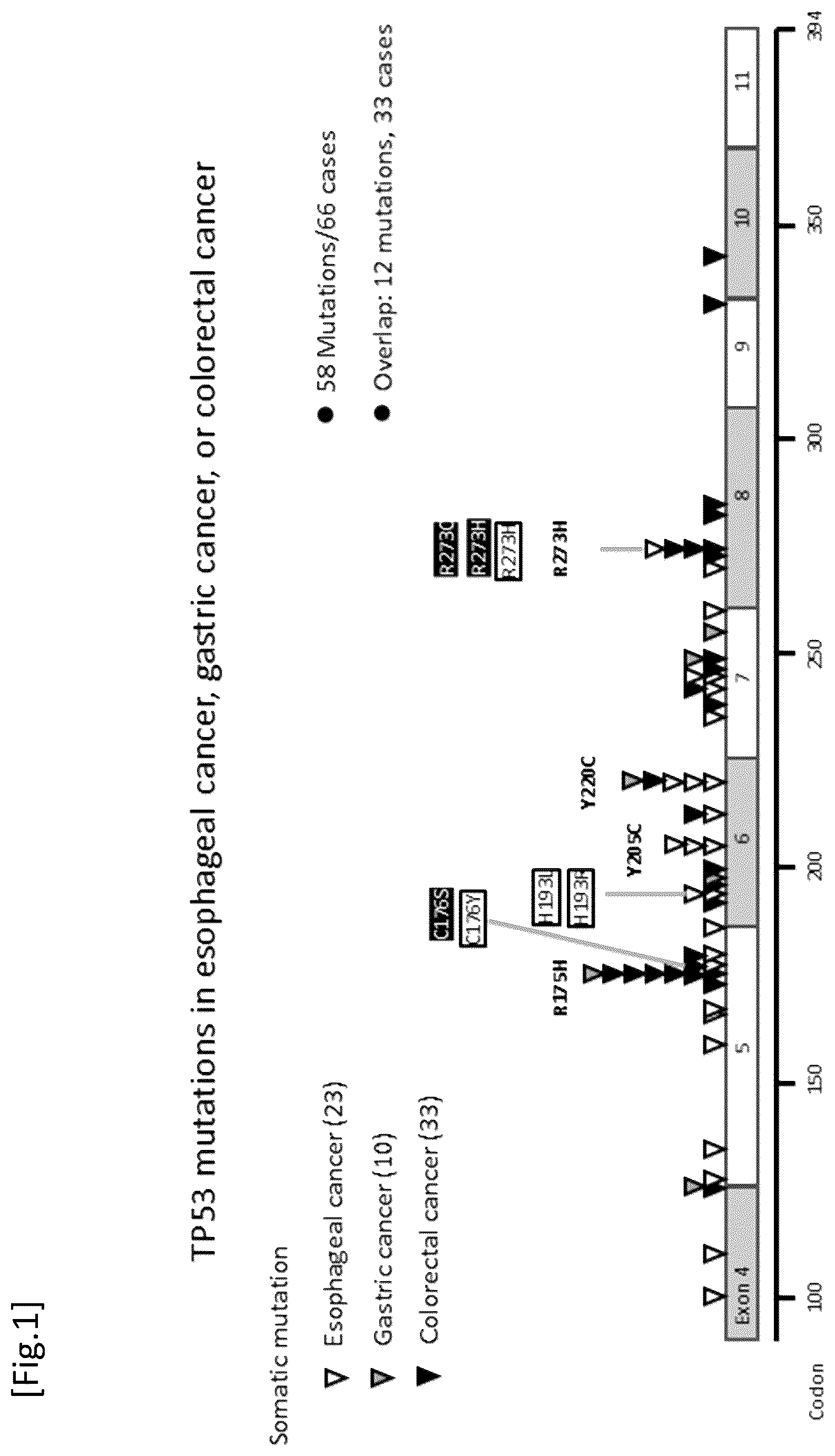 Patent US12492433 — Probe/primer library for diagnosis of cancer — Figure 1
