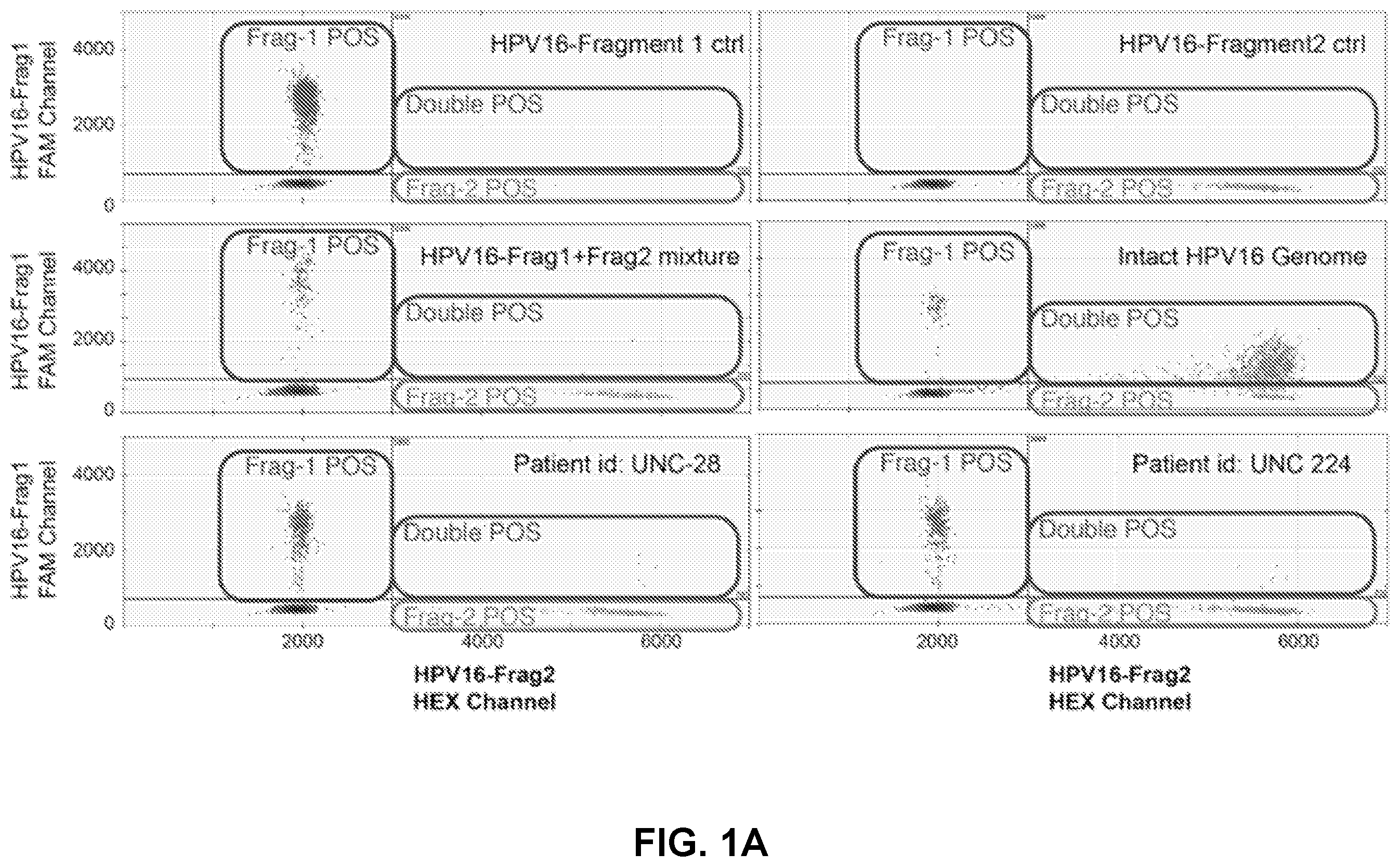 Patent US12492438 — Method for quantifying DNA fragments in a sample by size — Figure 1