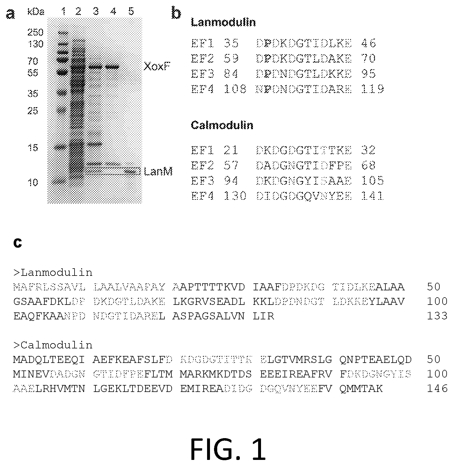 Patent US12492451 — Metal-binding protein and use thereof — Figure 1