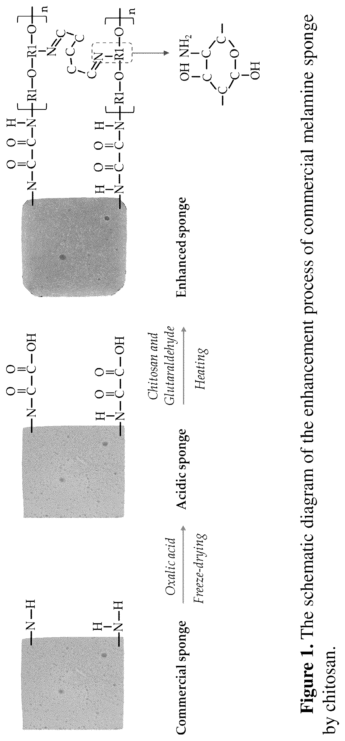 Patent US12492509 — Gravity-driven chitosan-enhanced melamine sponge for stable ultrafast filtration — Figure 1