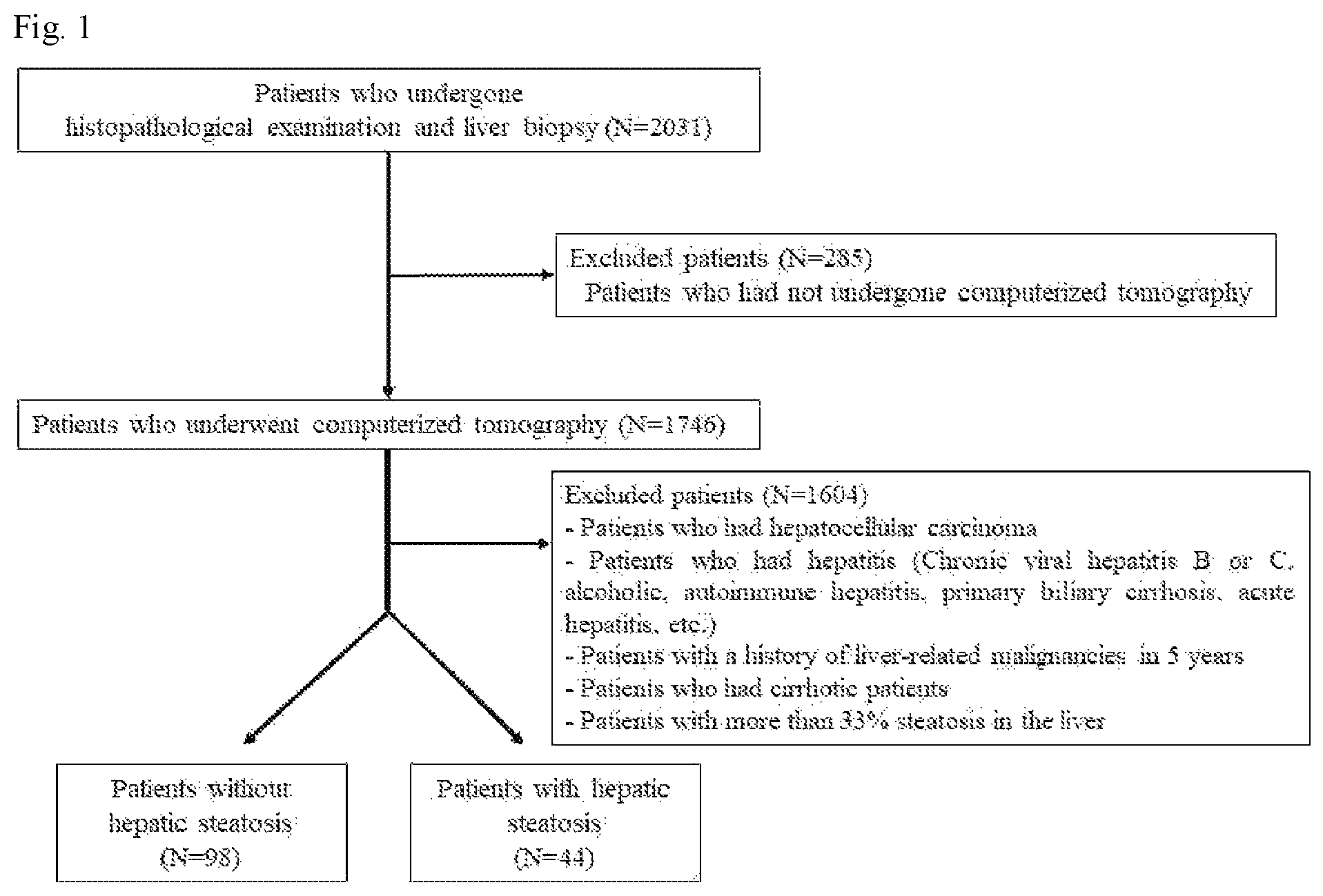 Patent US12496025 — Method for providing the information for diagnosing of nonalcoholic steatohepatitis — Figure 1
