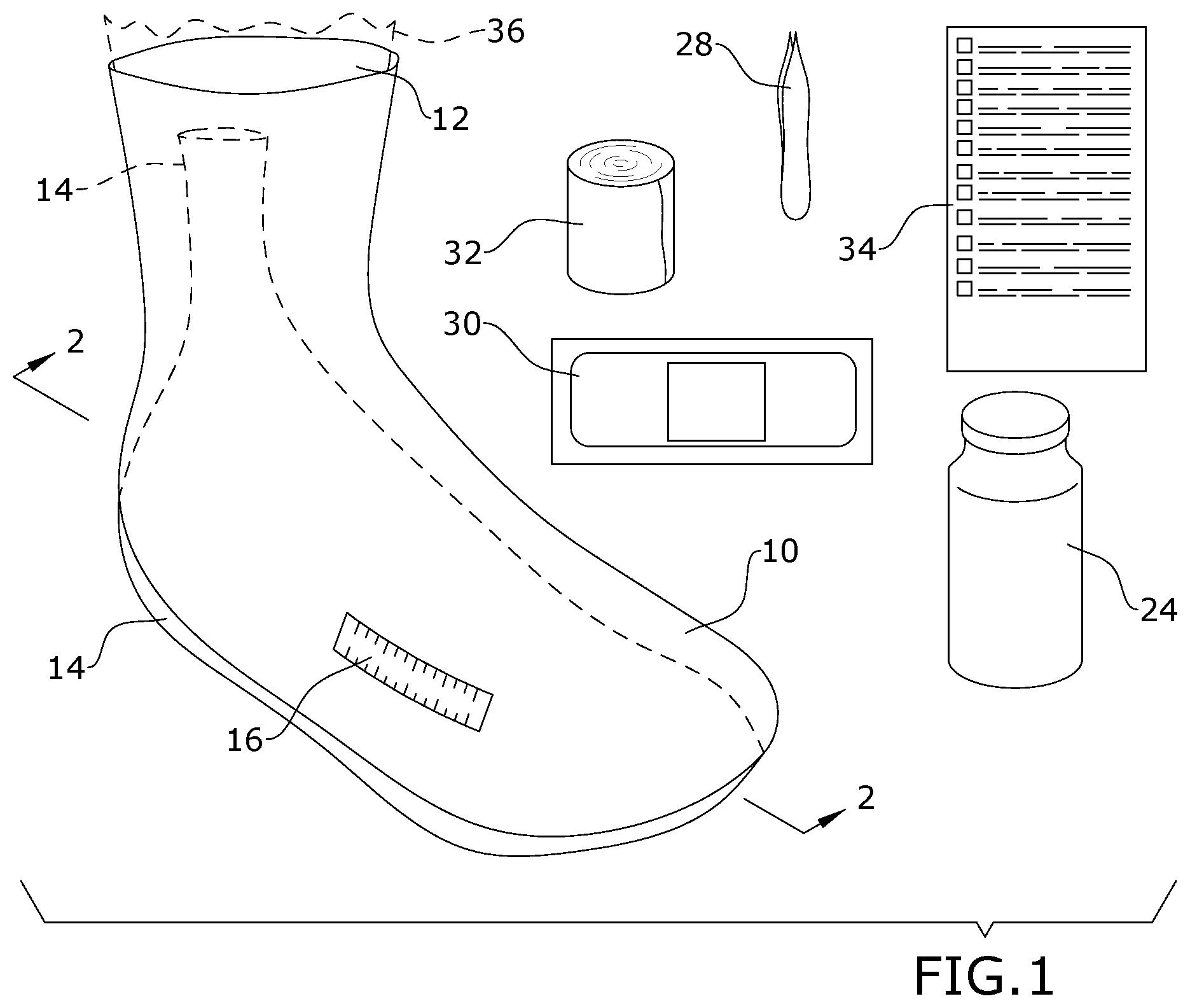 Patent US12496231 — Treatment system for post marine envenomation — Figure 1