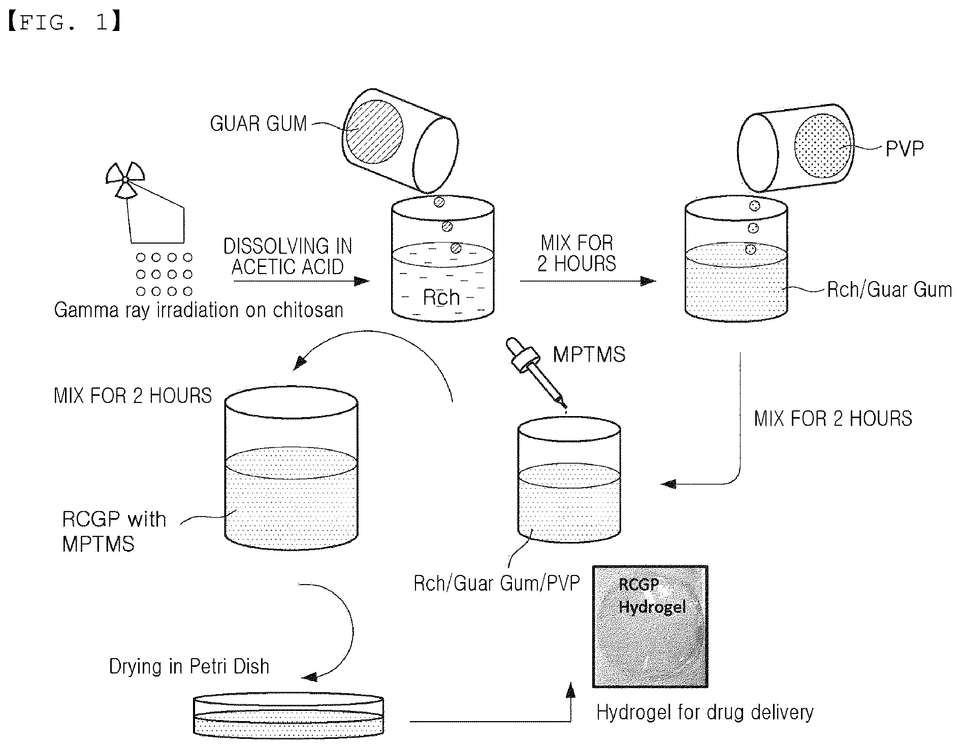 Patent US12496273 Figure 1 – Hydrogel and method for preparing the same