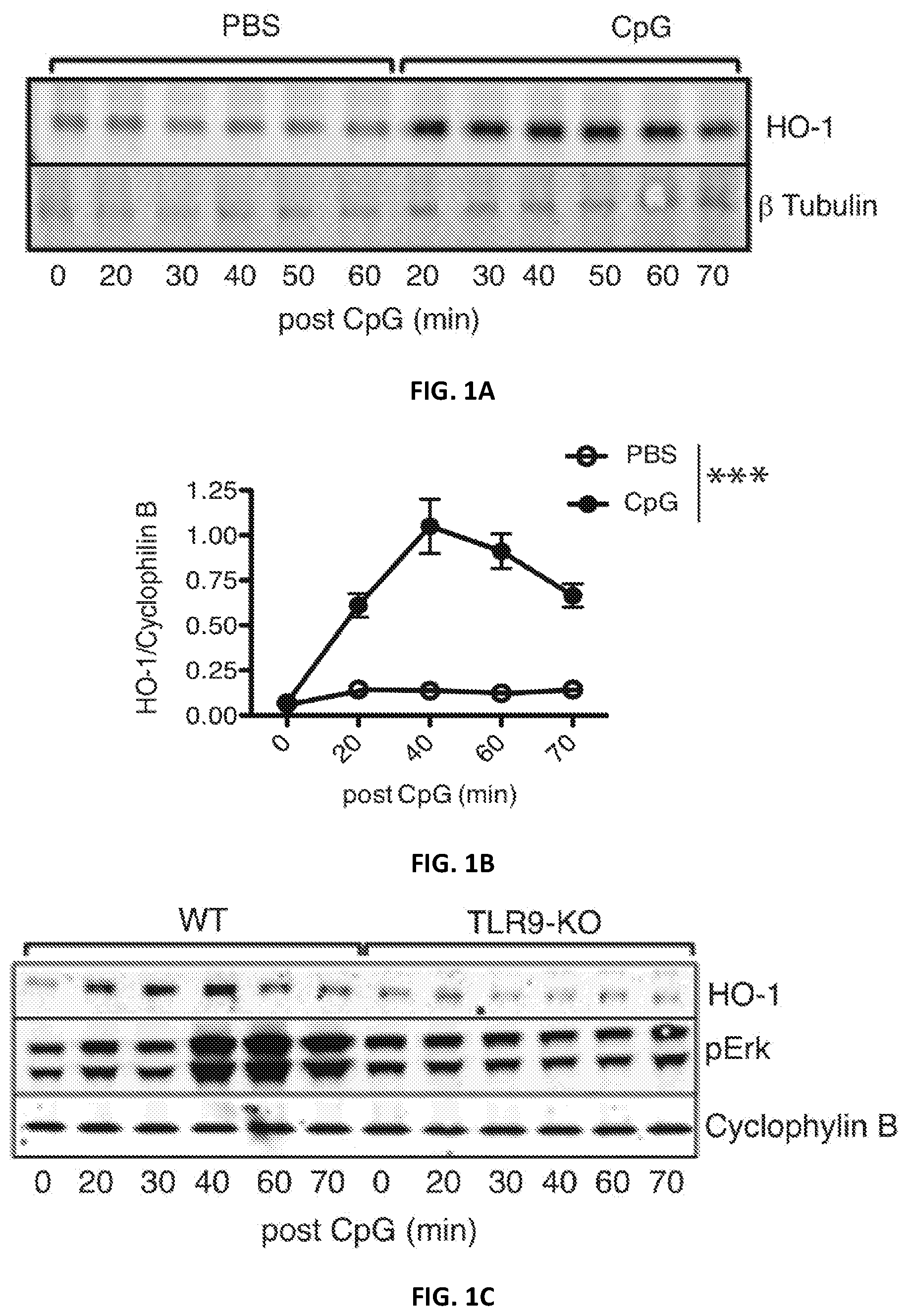 Patent US12496287 — Compositions and methods for treating macrophage activation syndrome — Figure 1