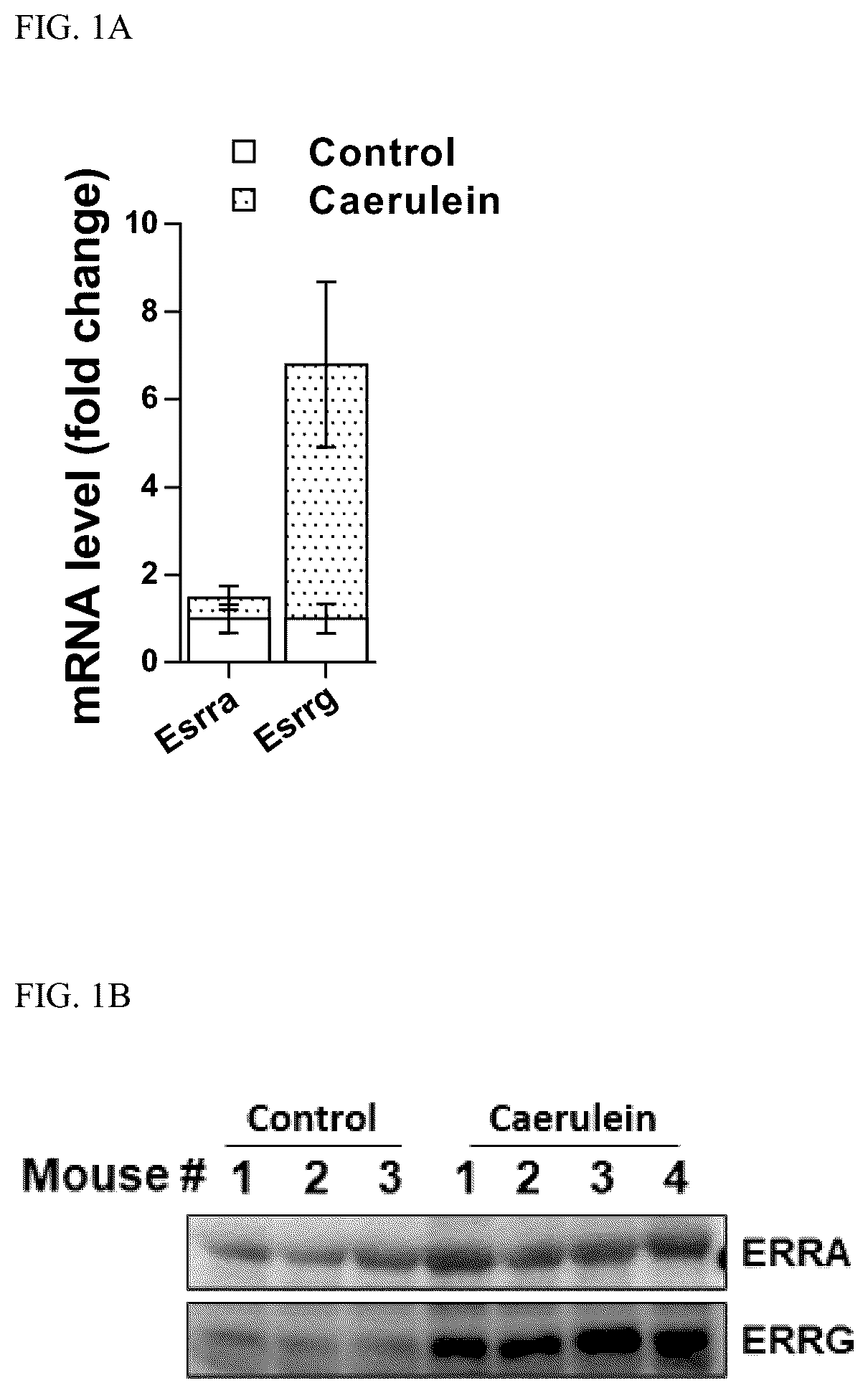 Patent US12496309 — Method for treatment of pancreatitis — Figure 1