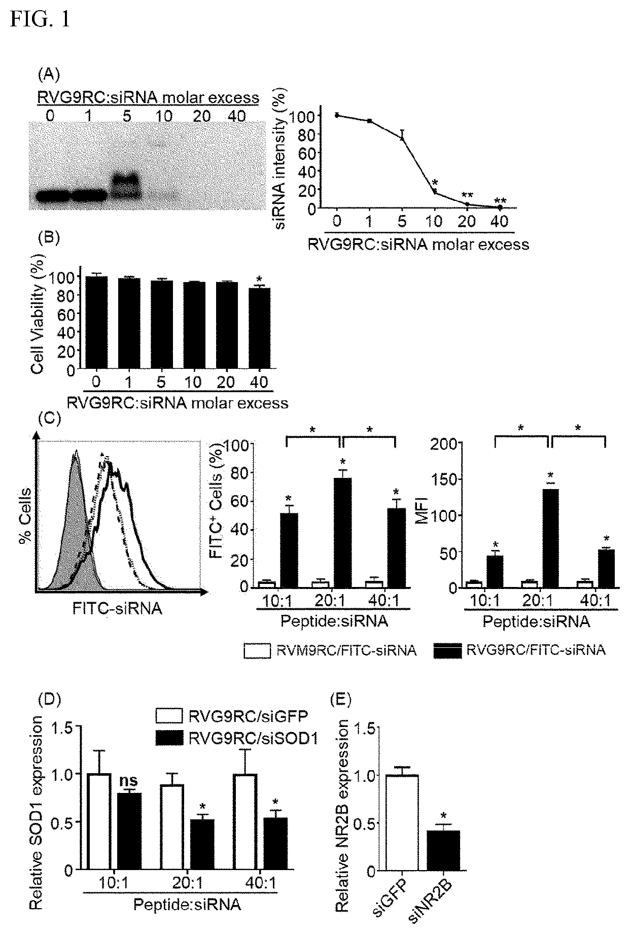 Patent US12496312 — Method for alleviating cancer-induced pain through control of pain signals in central nervous system — Figure 1