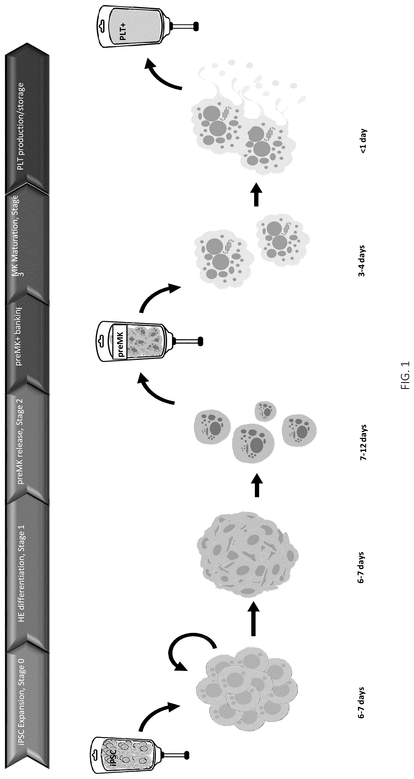 Patent US12496315 — Compositions for drug delivery and methods of use thereof — Figure 1