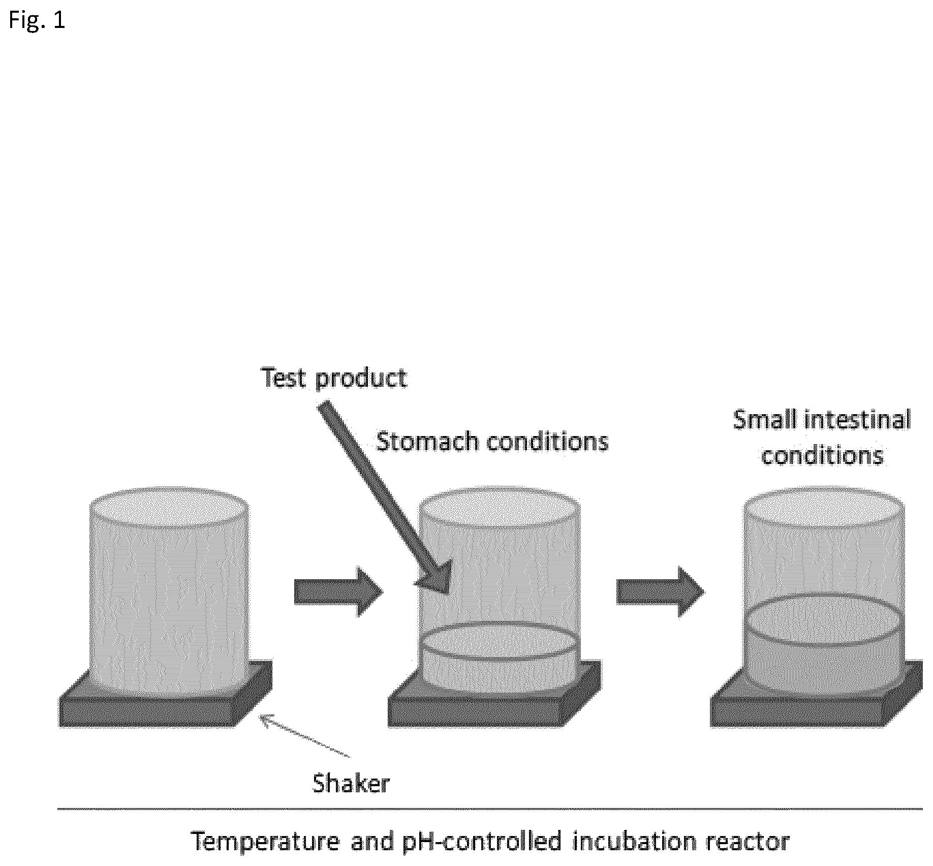 Patent US12496324 — Insoluble fibre fermentability and short chain fatty acid production by Bifidobacterium longum — Figure 1