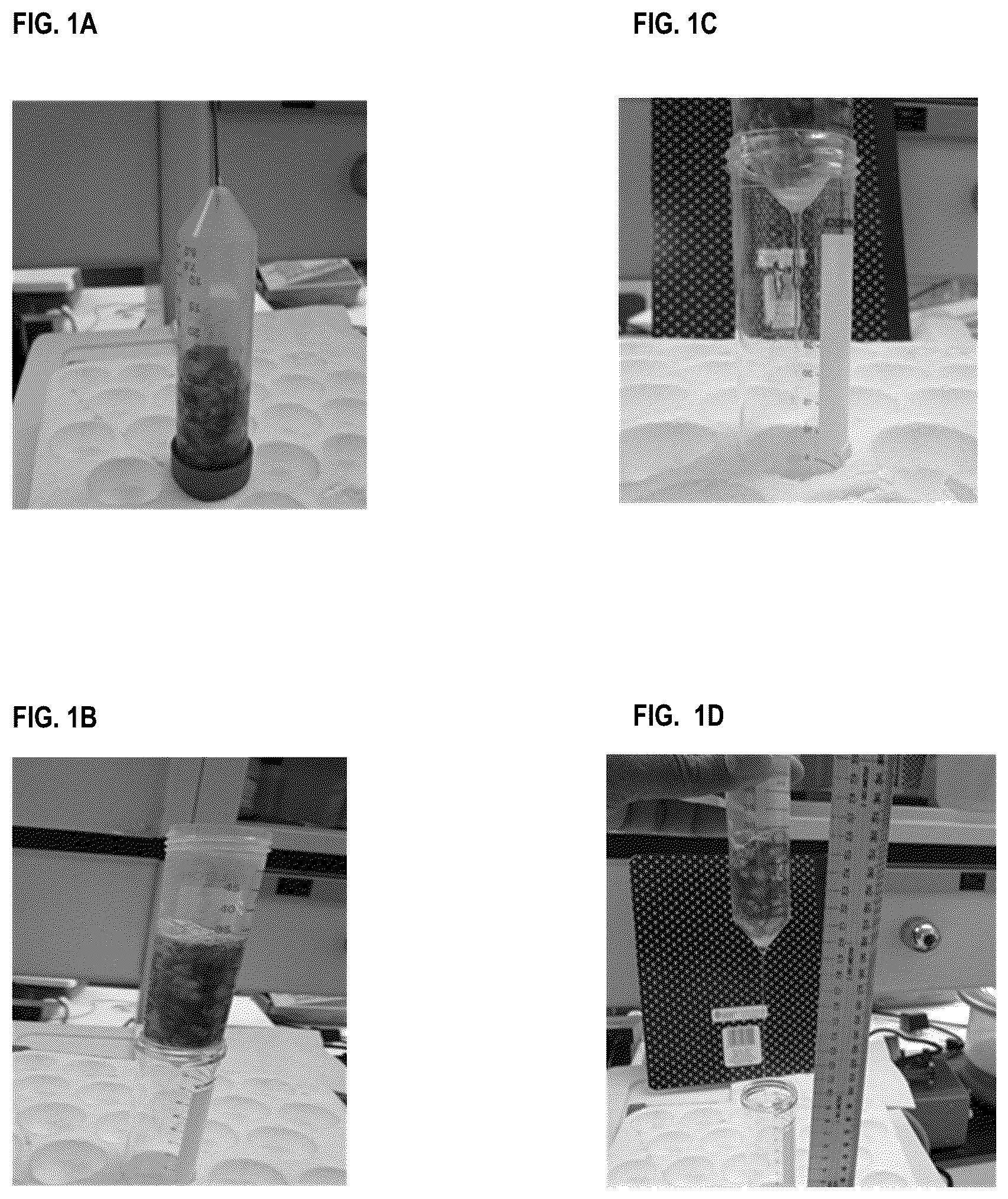 Patent US12496325 — Okra extract as a substitute for cervical mucus — Figure 1