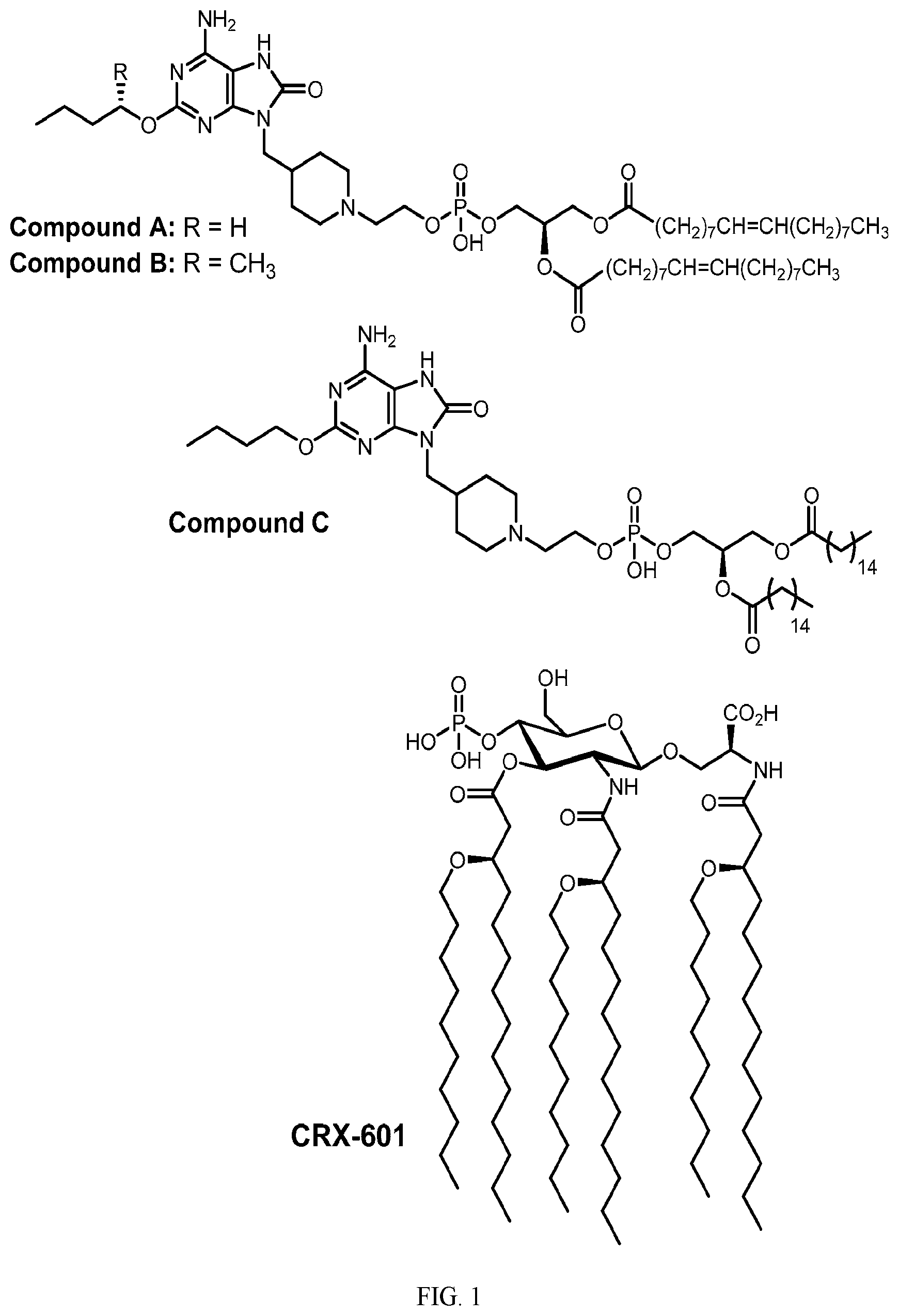 Patent US12496340 — Vaccine adjuvants based on TLR receptor ligands — Figure 1