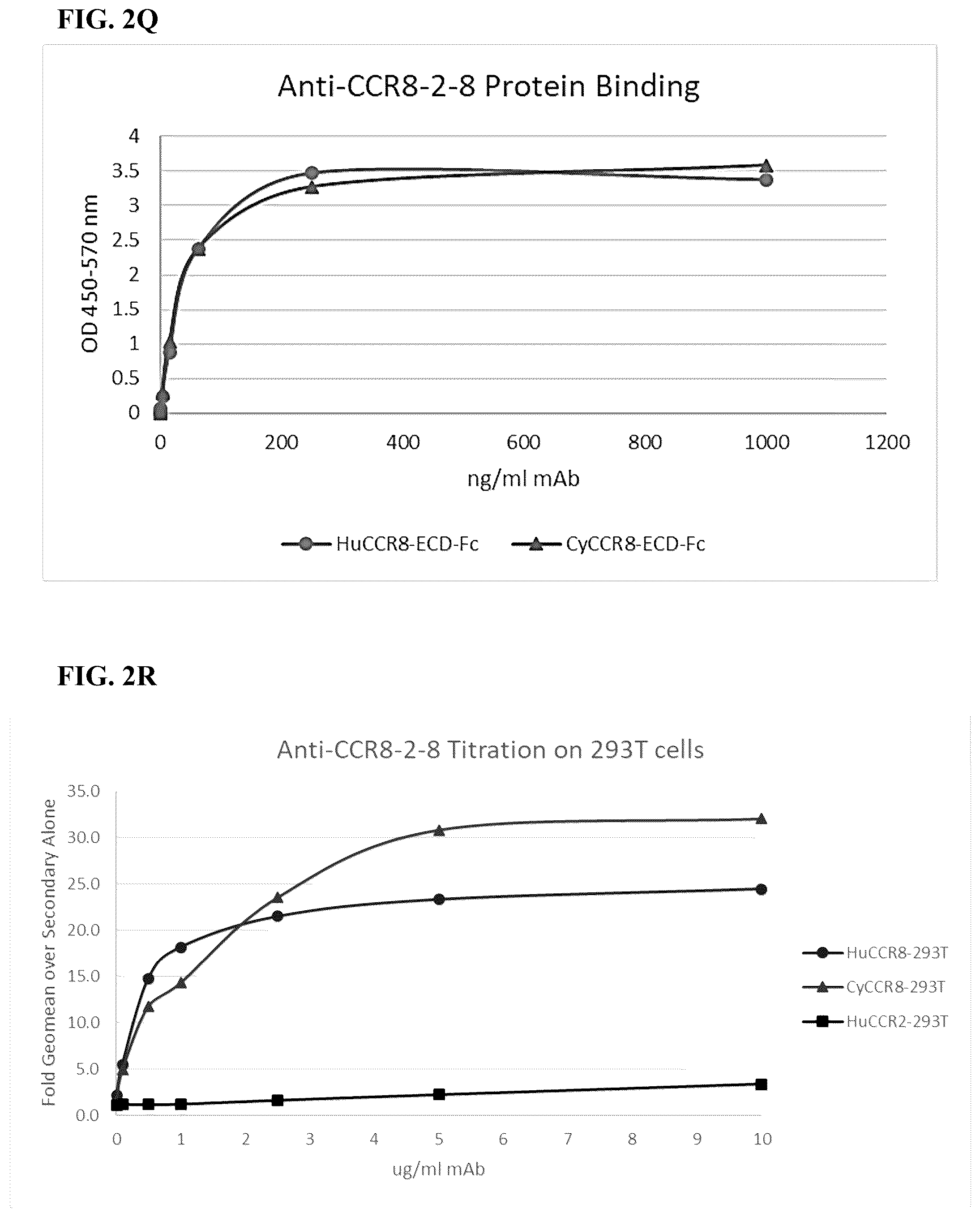Patent US12496342 Figure 15 – Anti-CCR8 antibodies and uses thereof