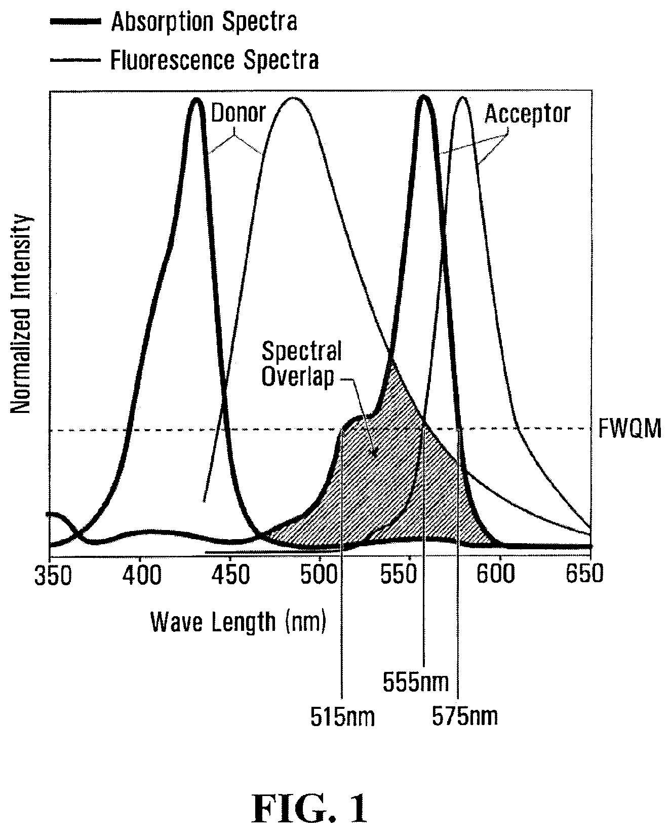 Patent US12496344 — Biophotonic materials and uses thereof — Figure 1