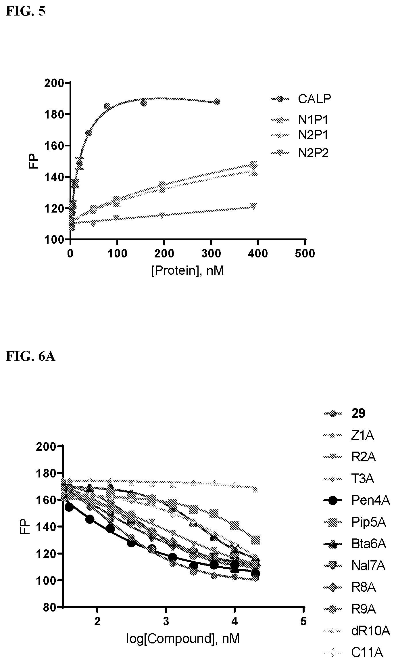 Patent US12496350 Figure 6 – Cyclic peptidyl inhibitors of CAL-PDZ binding domain