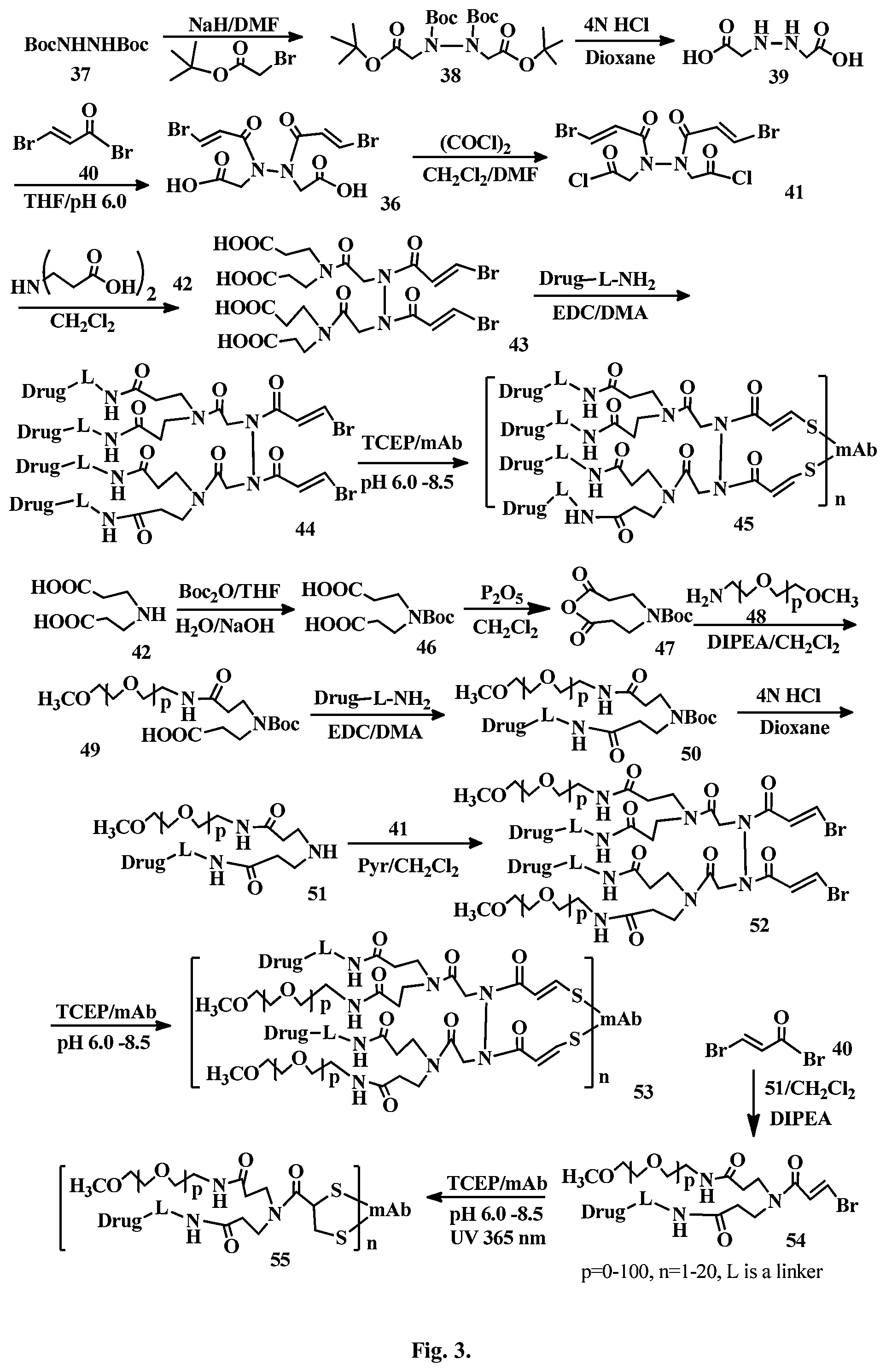 Patent US12496351 Figure 3 – Conjugation linkers, cell binding molecule-drug conjugates containing the linkers, methods of making and uses such conjugates with the linkers