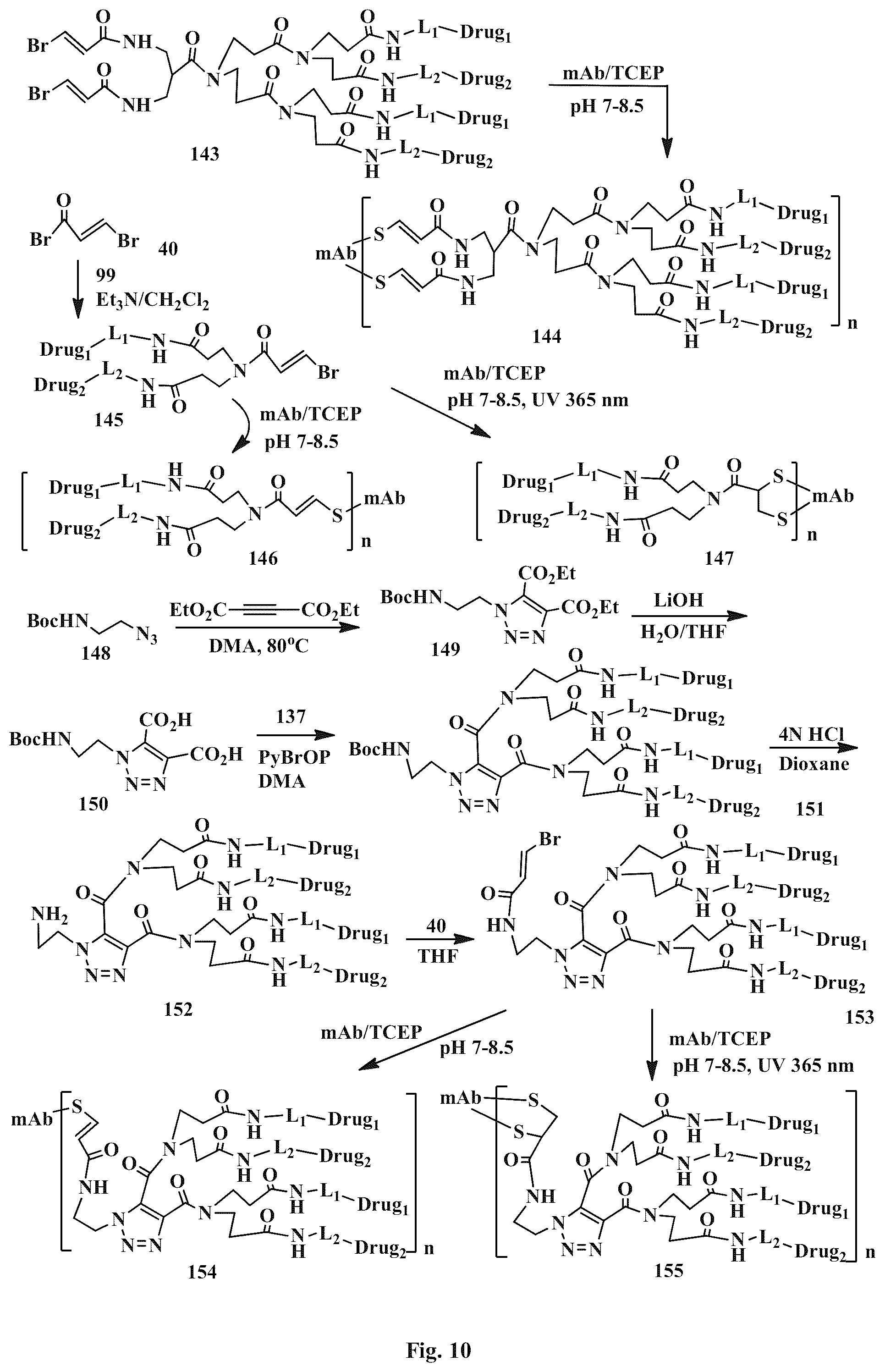 Patent US12496351 Figure 10 – Conjugation linkers, cell binding molecule-drug conjugates containing the linkers, methods of making and uses such conjugates with the linkers