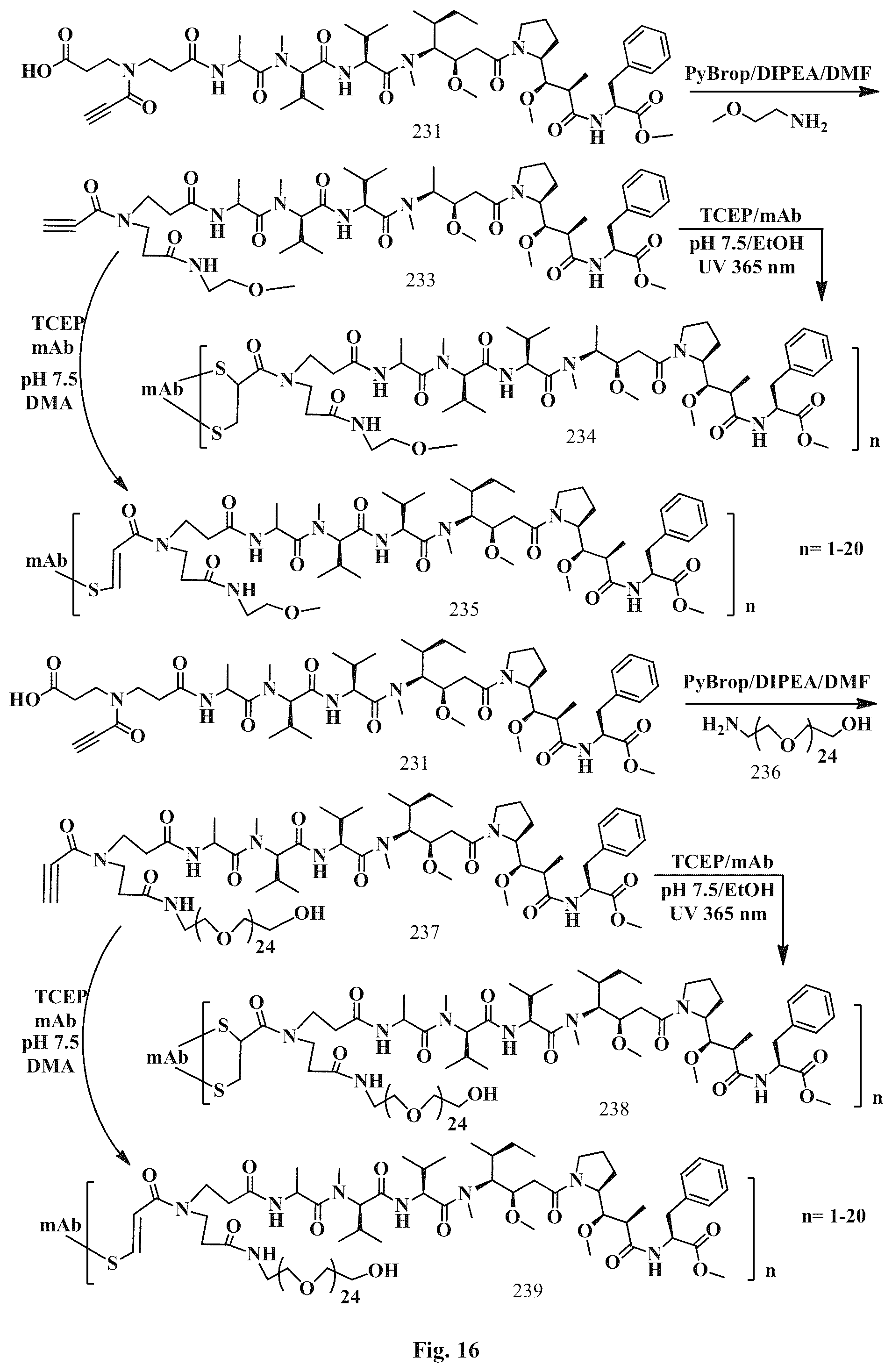 Patent US12496351 Figure 16 – Conjugation linkers, cell binding molecule-drug conjugates containing the linkers, methods of making and uses such conjugates with the linkers