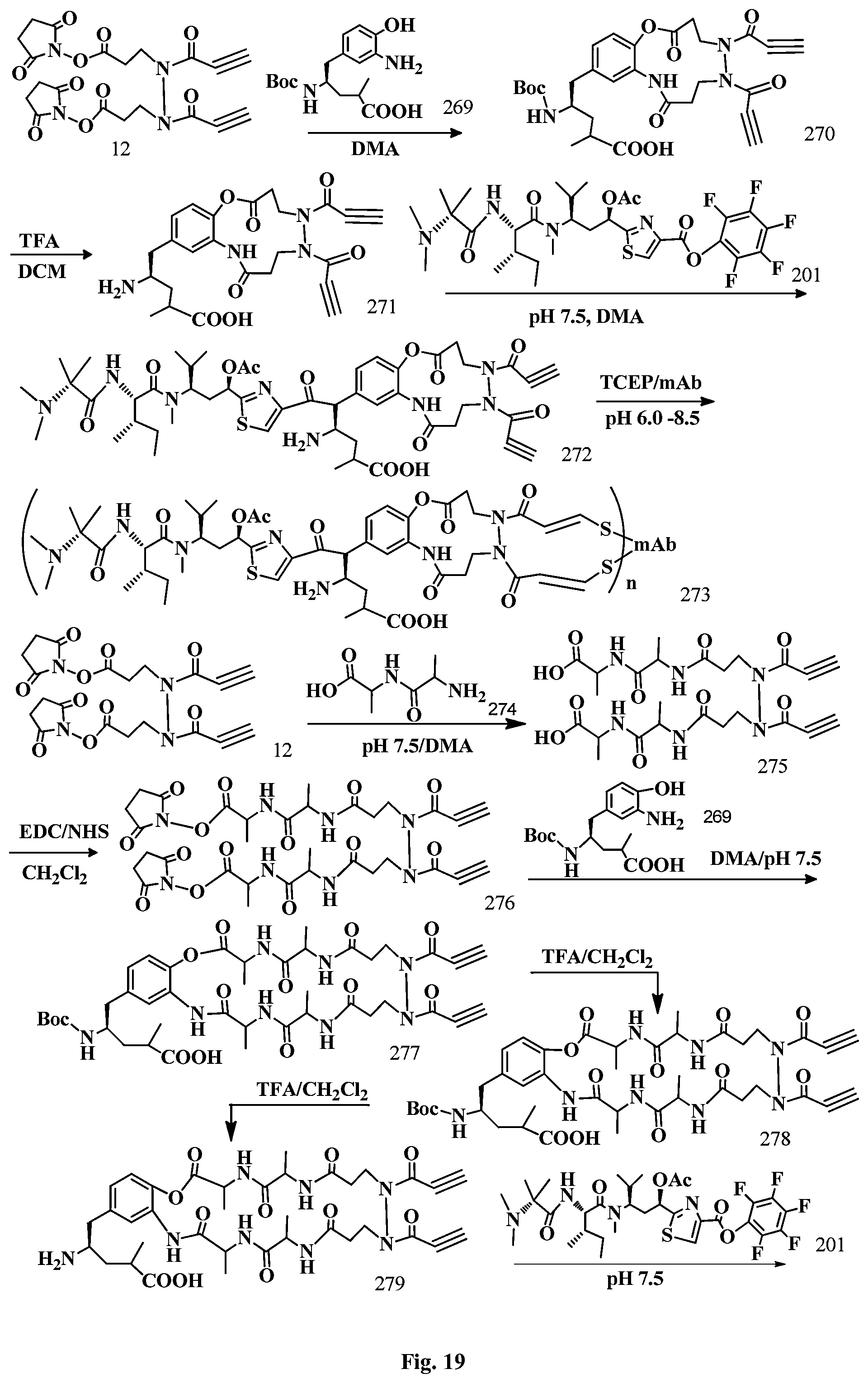 Patent US12496351 Figure 19 – Conjugation linkers, cell binding molecule-drug conjugates containing the linkers, methods of making and uses such conjugates with the linkers