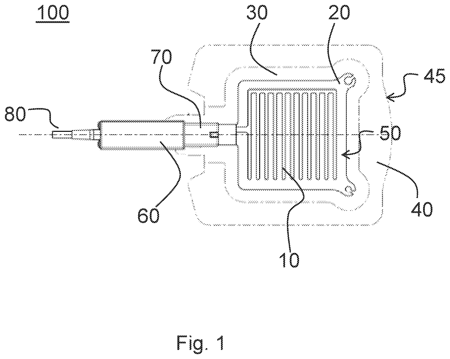 Patent US12496456 — Plasma applicator — Figure 1