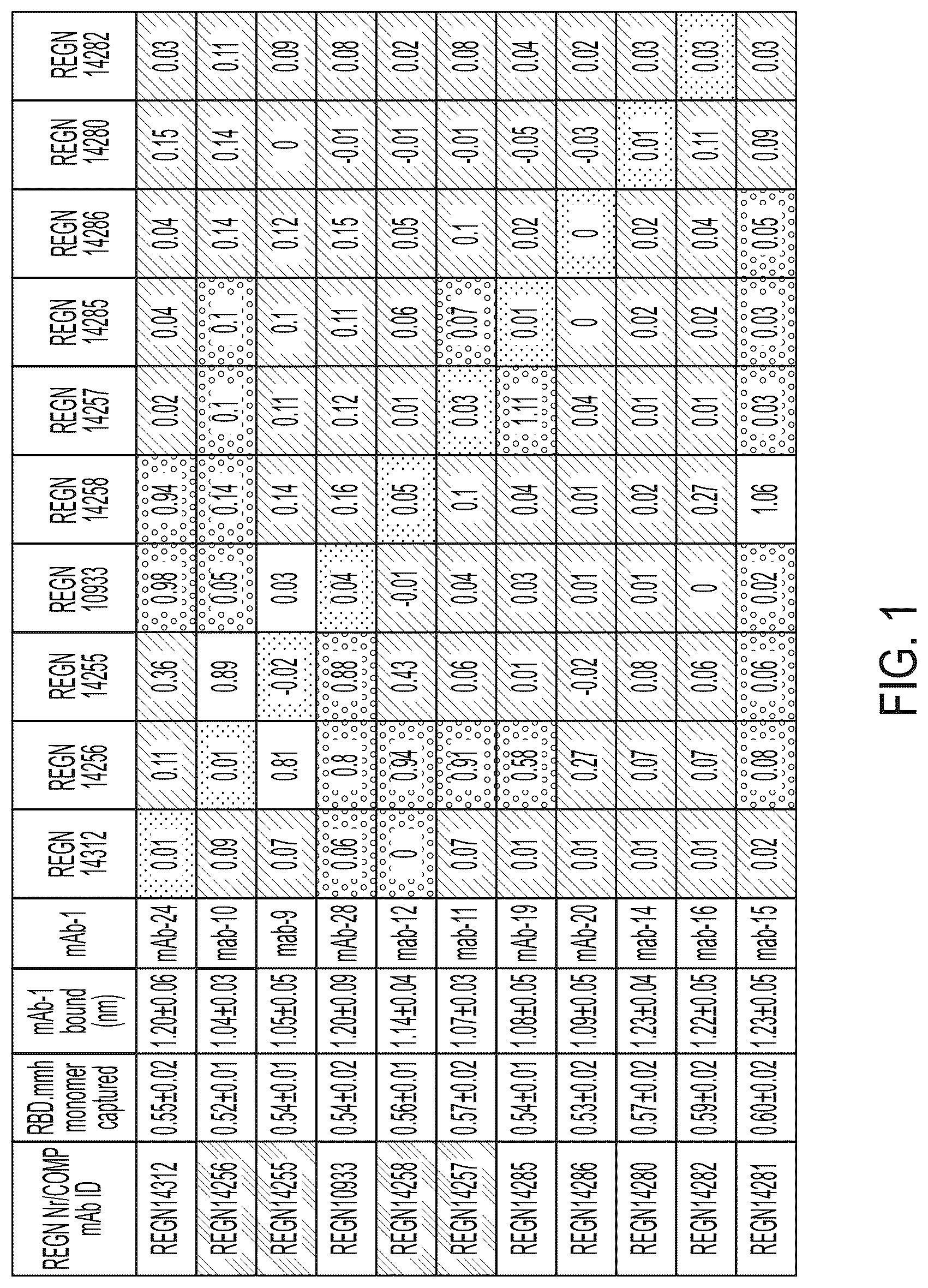 Patent US12496470 — Anti-SARS-CoV-2-spike glycoprotein antibodies and antigen-binding fragments — Figure 1